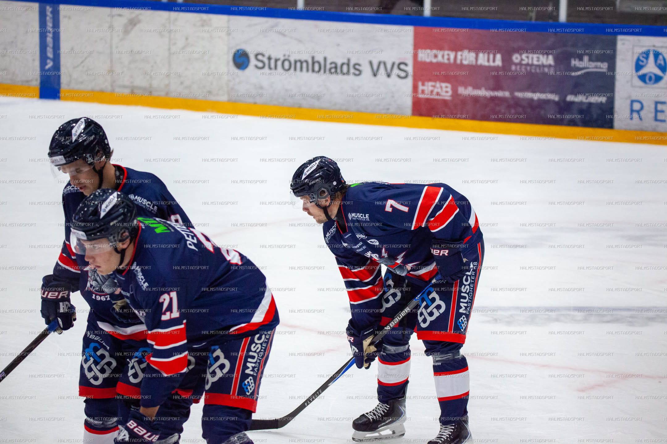 Halmstad Hammers - Västerviks IK · Foto: Halmstadsport