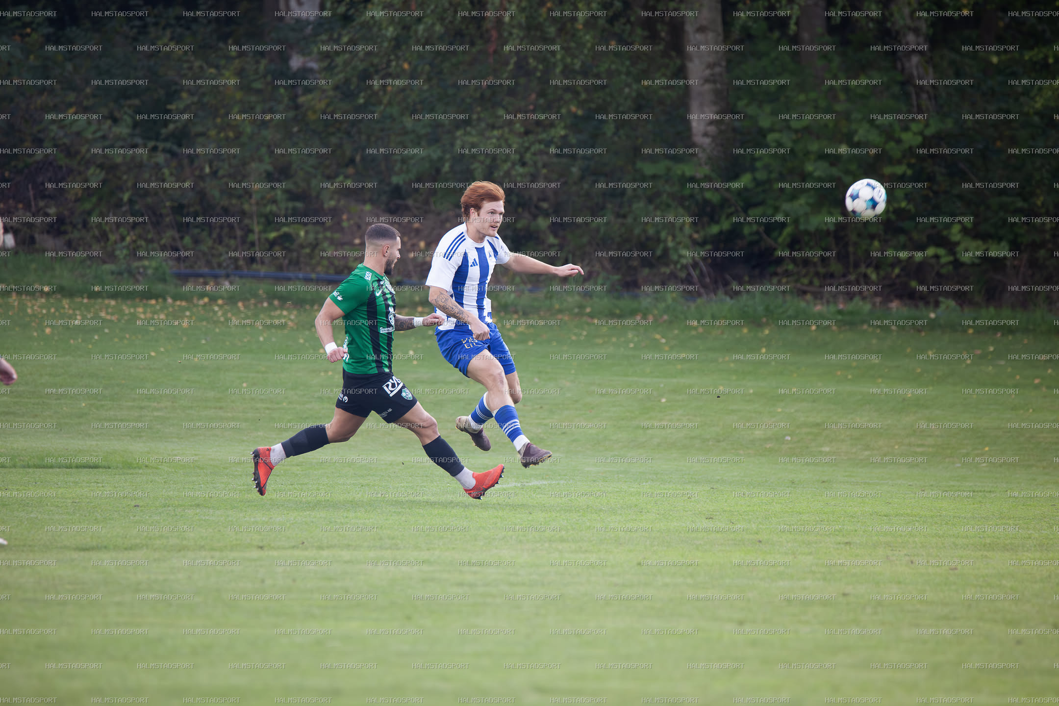 IF Centern - Högaborgs BK · Foto: Halmstadsport
