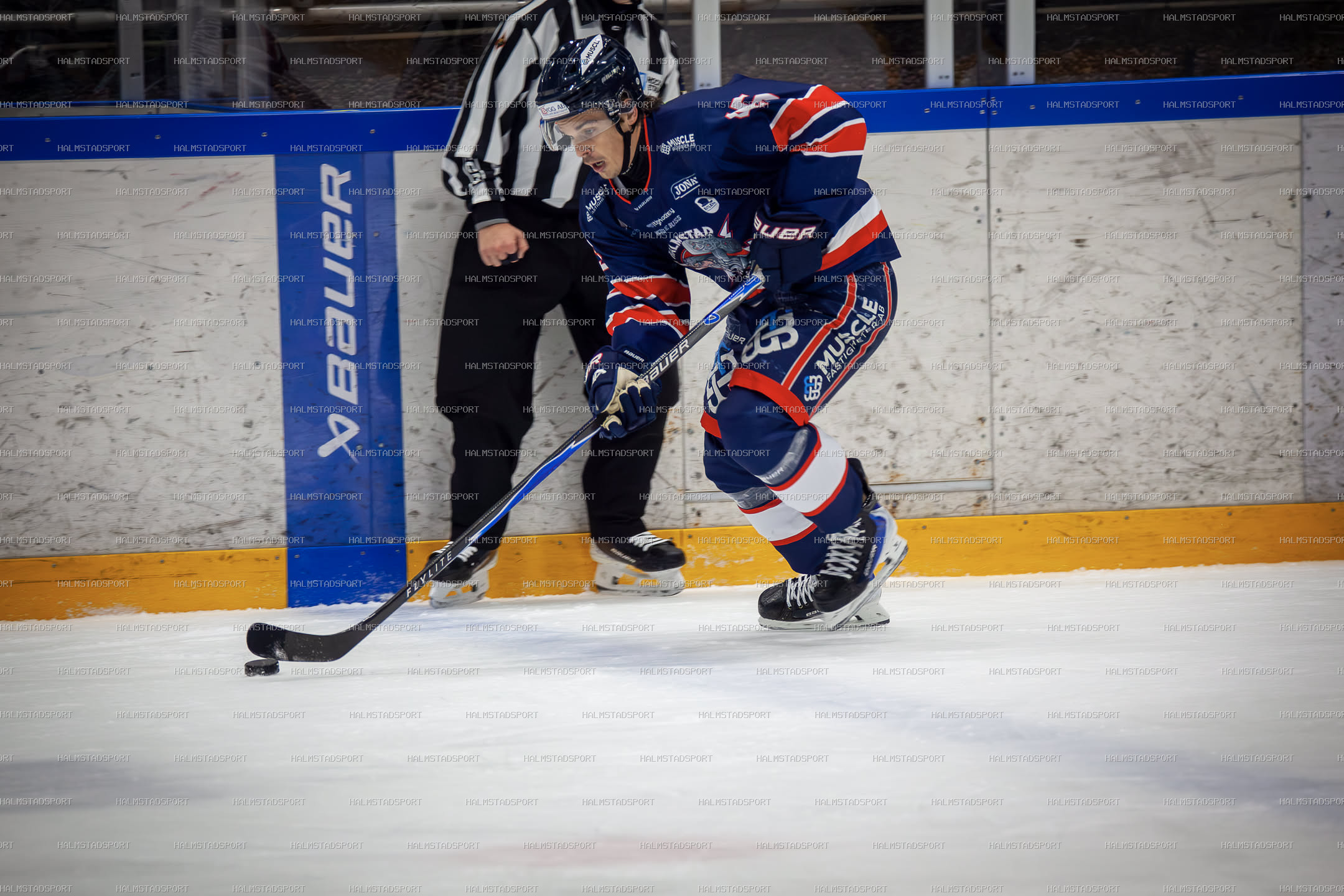 Halmstad Hammers - Mjölby HC · Foto: Halmstadsport