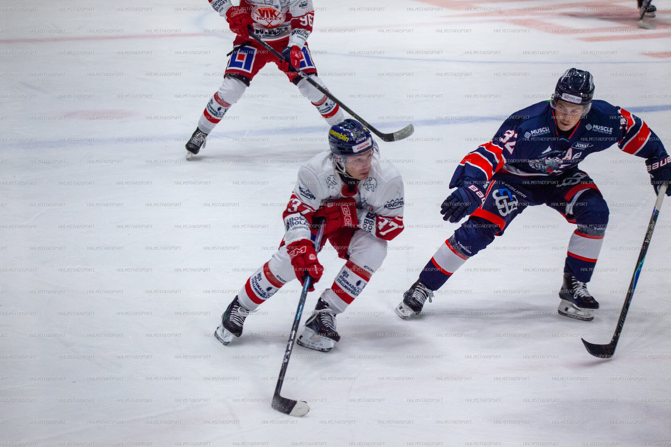 Halmstad Hammers - Västerviks IK · Foto: Halmstadsport