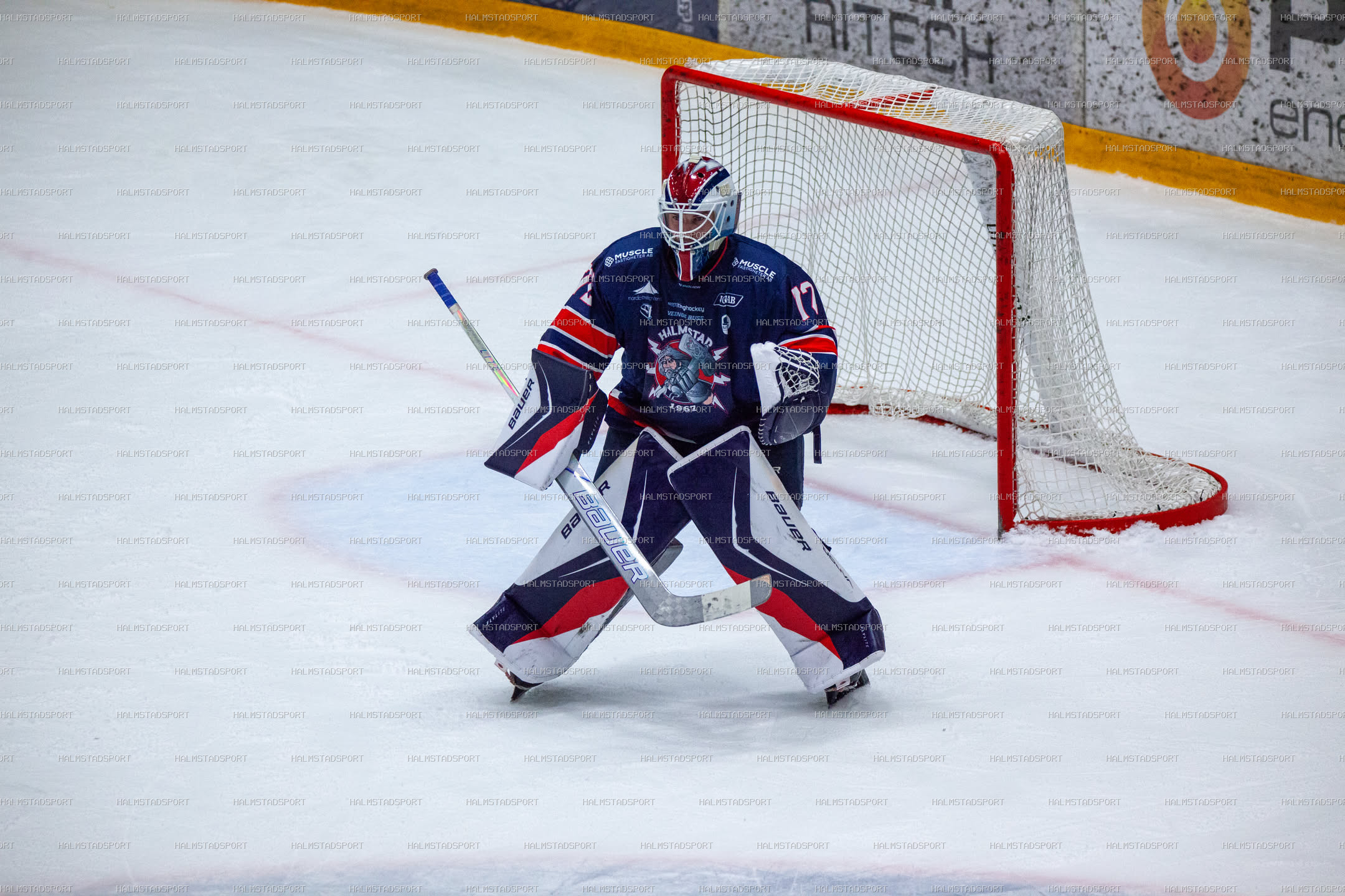 Halmstad Hammers - Västerviks IK · Foto: Halmstadsport