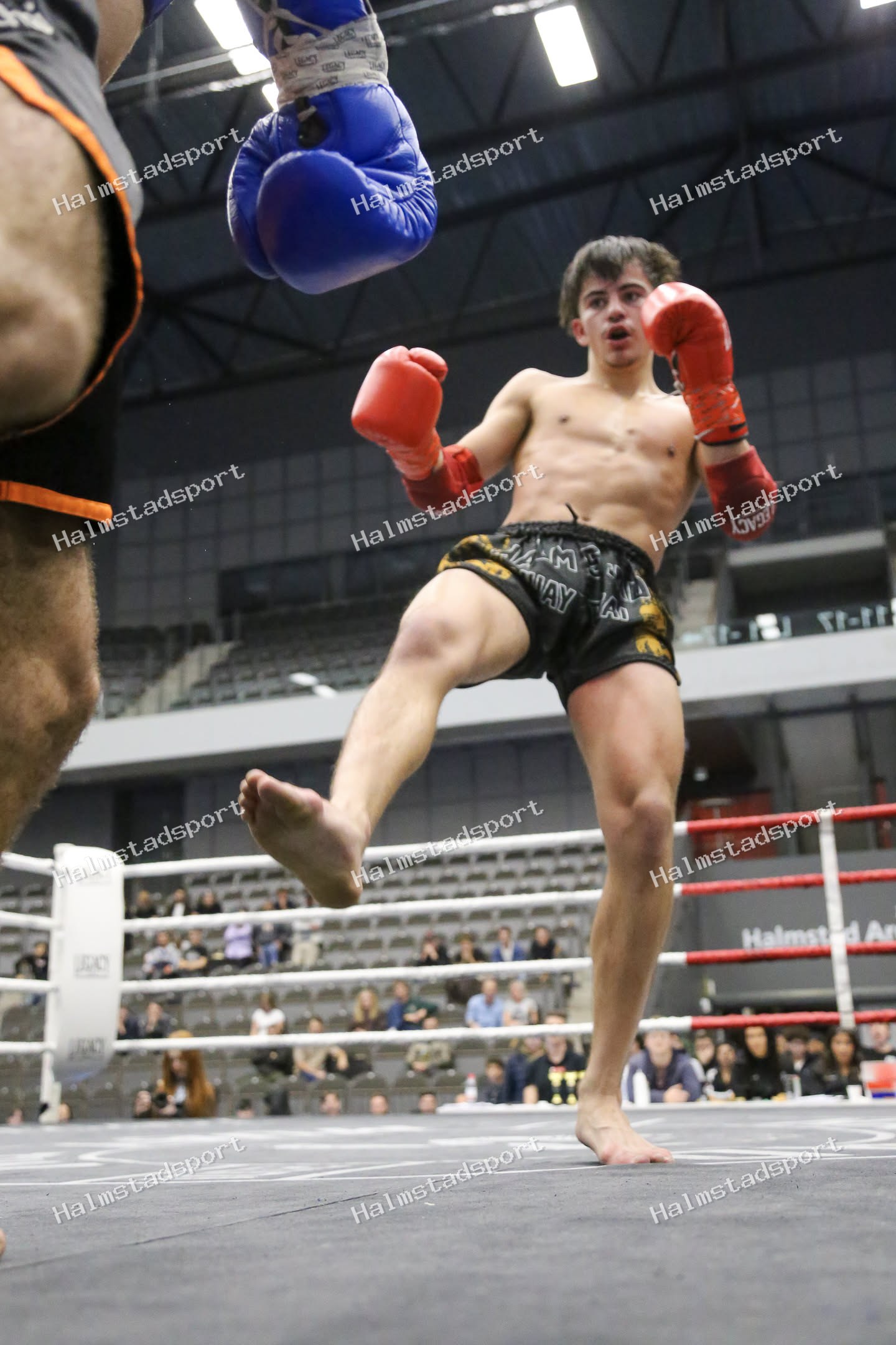 HMT Battle 2026 · Foto: Halmstadsport