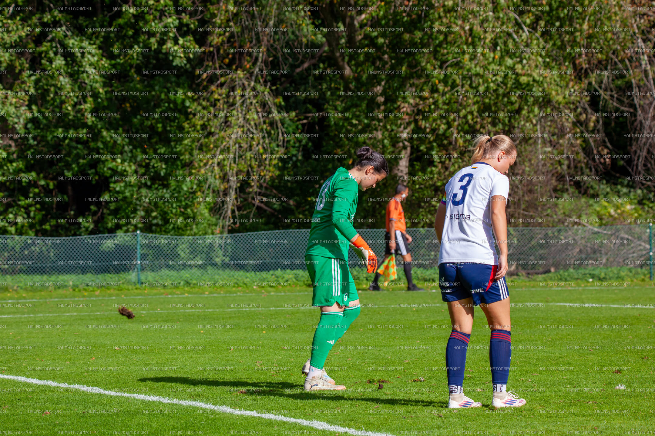 HBK - FC Rosengård · Foto: Halmstadsport