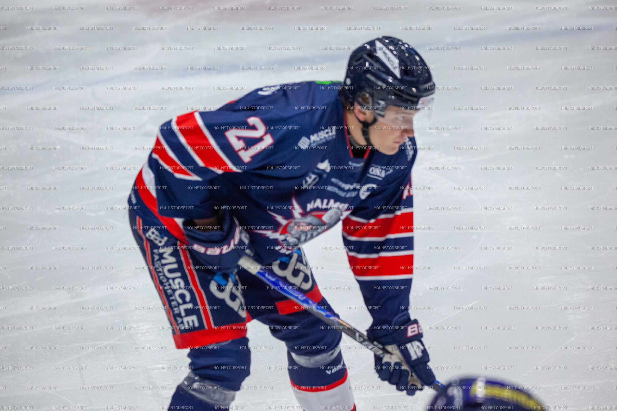 Halmstad Hammers - Västerviks IK · Foto: Halmstadsport