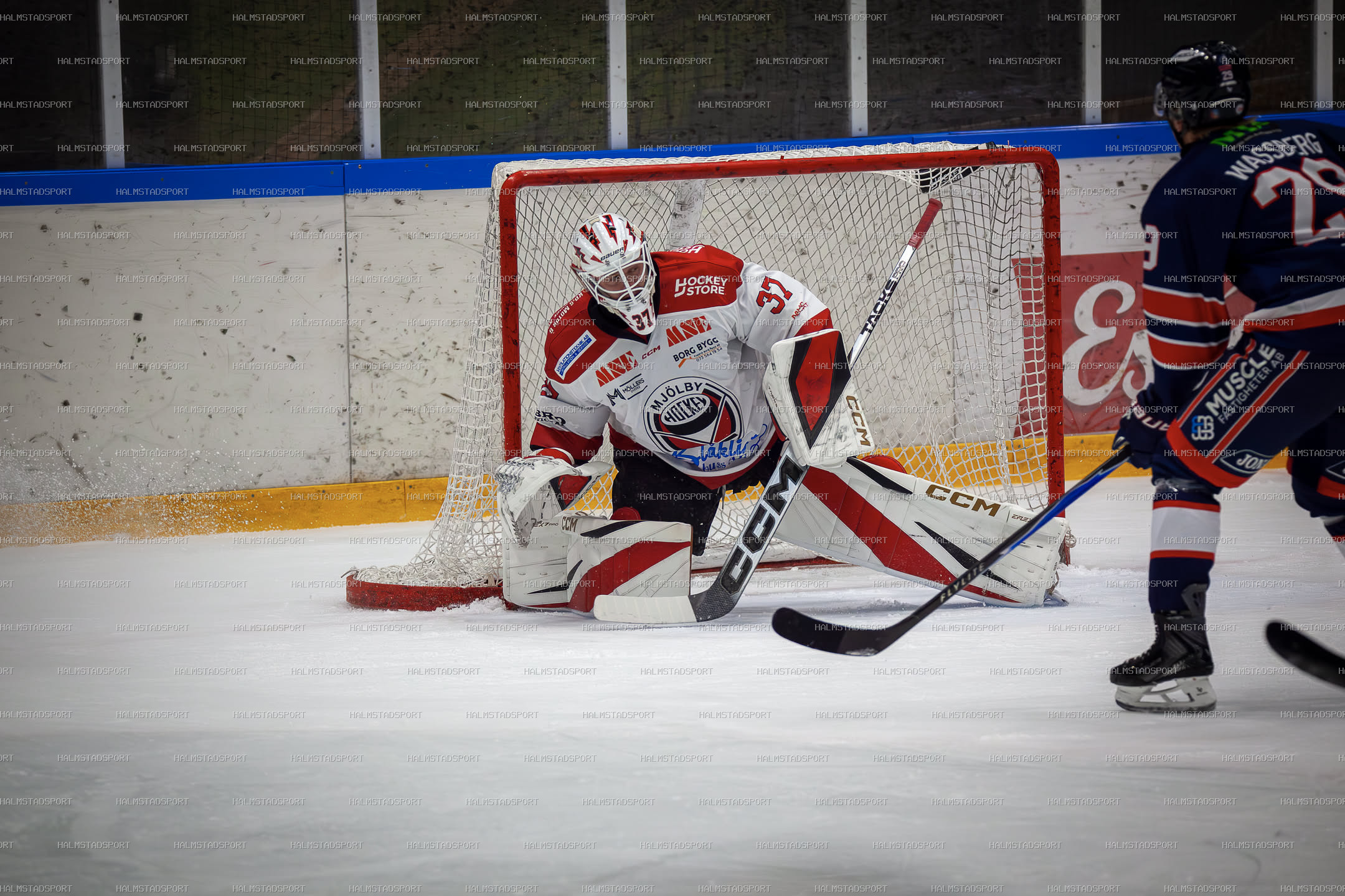 Halmstad Hammers - Mjölby HC · Foto: Halmstadsport