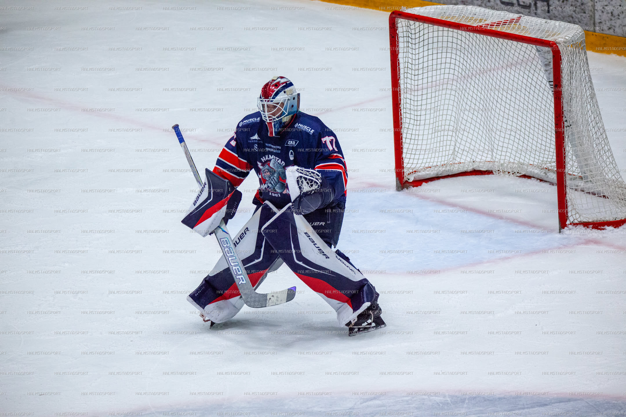 Halmstad Hammers - Västerviks IK · Foto: Halmstadsport