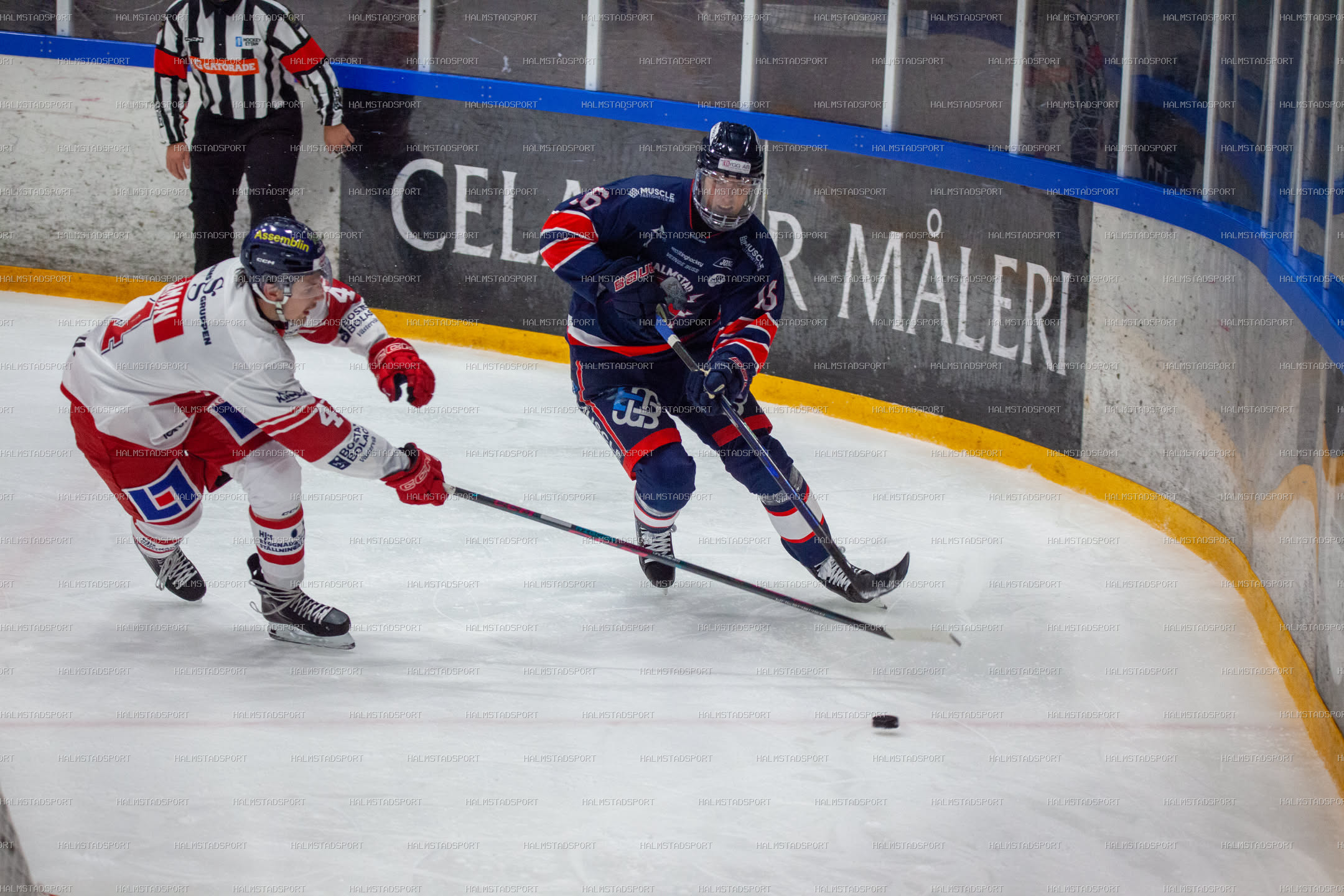 Halmstad Hammers - Västerviks IK · Foto: Halmstadsport