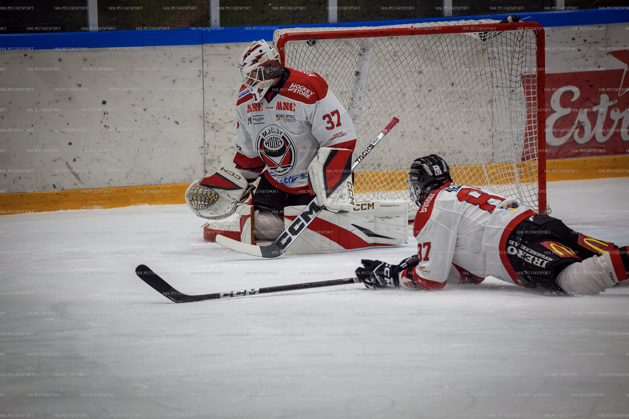 Halmstad Hammers - Mjölby HC · Foto: Halmstadsport