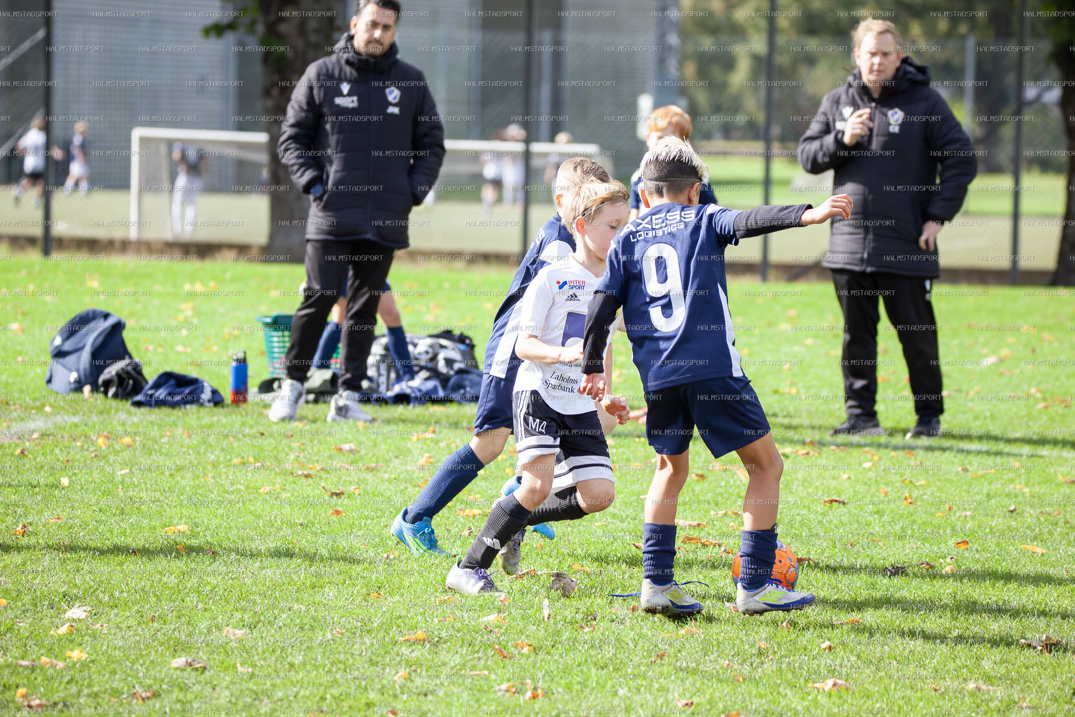 Leikin 8 · Foto: Halmstadsport