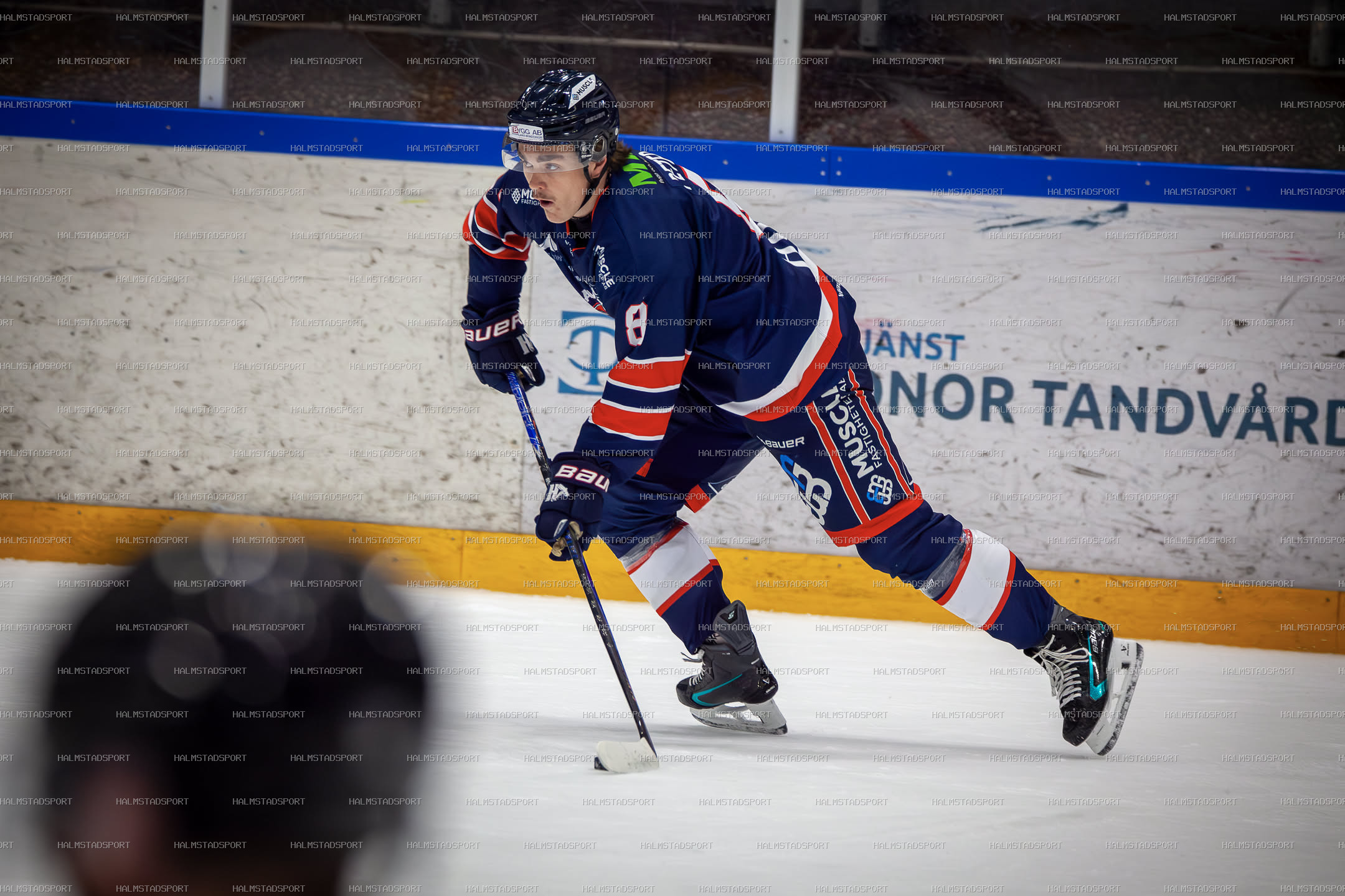 Halmstad Hammers - Mjölby HC · Foto: Halmstadsport