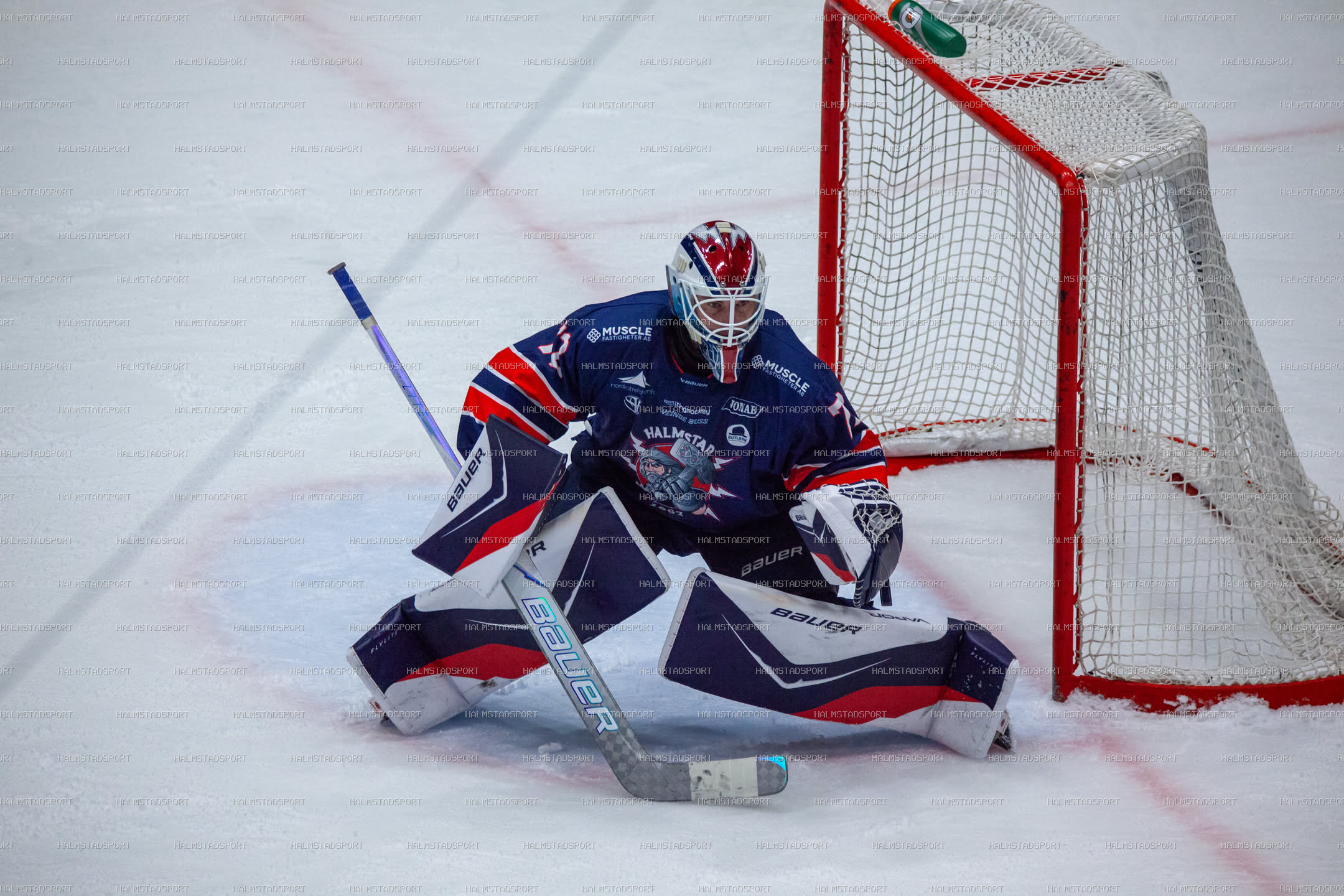 Halmstad Hammers - Västerviks IK · Foto: Halmstadsport