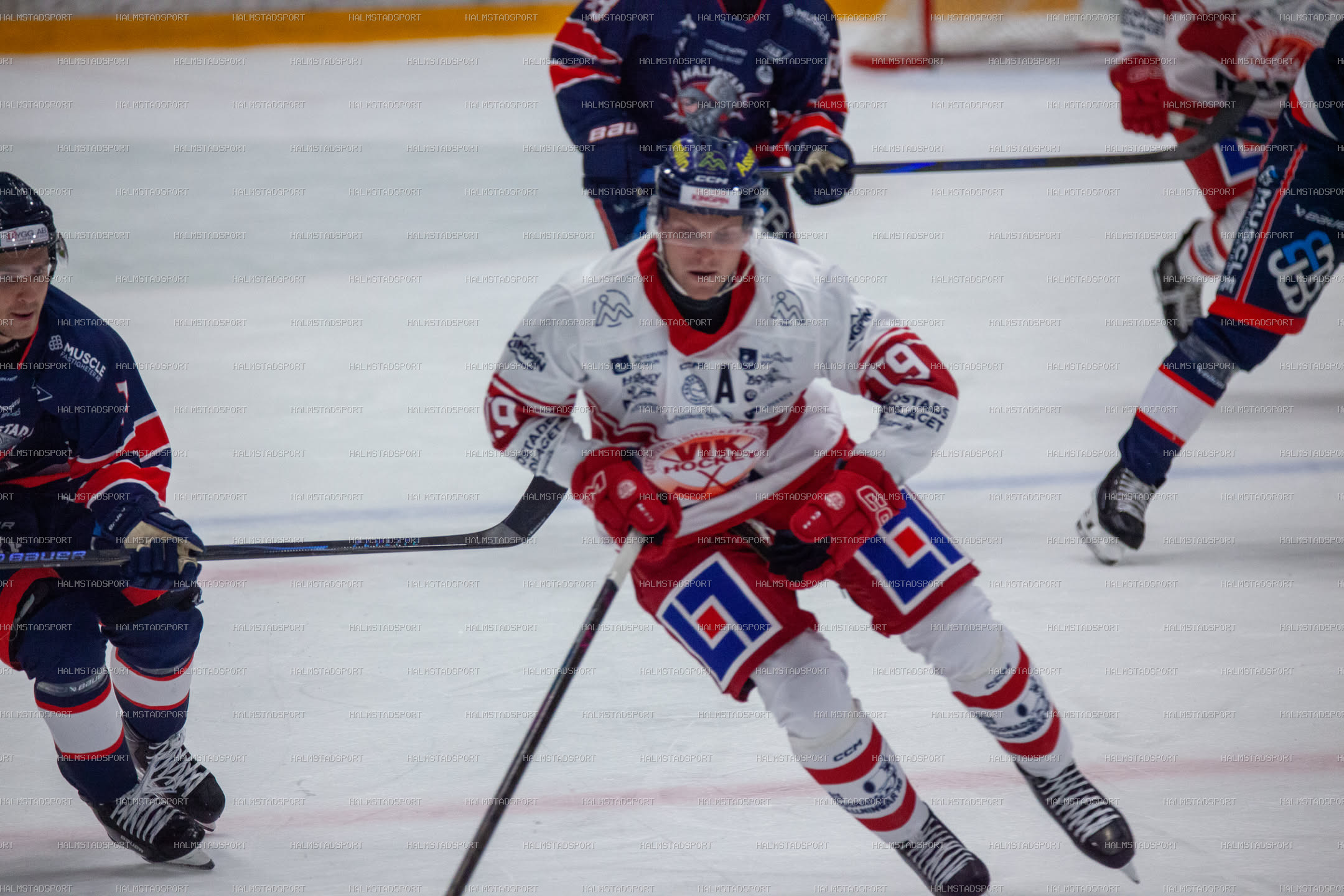 Halmstad Hammers - Västerviks IK · Foto: Halmstadsport