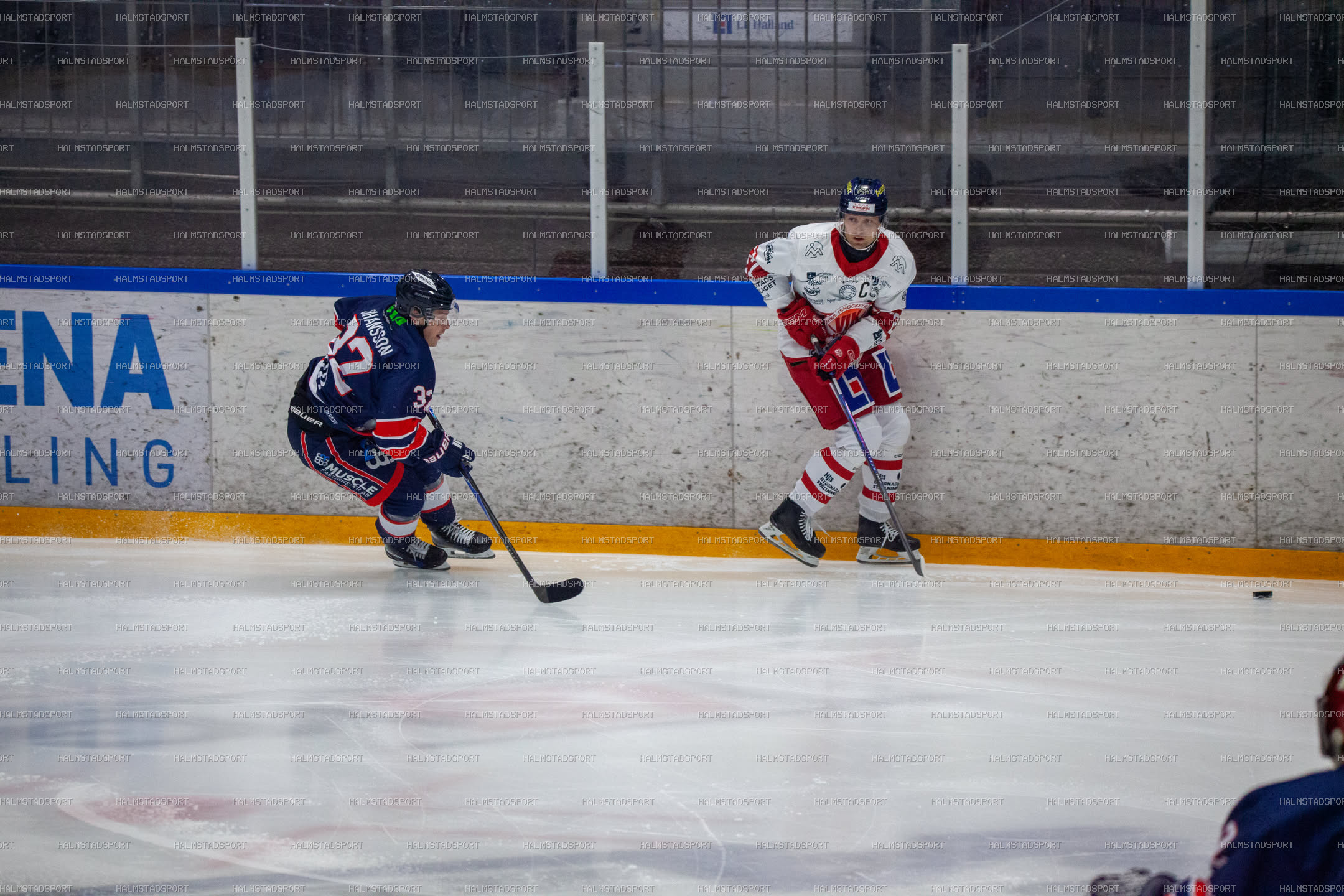 Halmstad Hammers - Västerviks IK · Foto: Halmstadsport