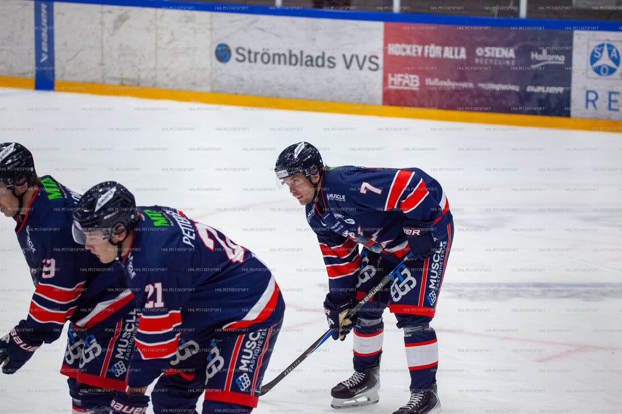 Halmstad Hammers - Västerviks IK · Foto: Halmstadsport