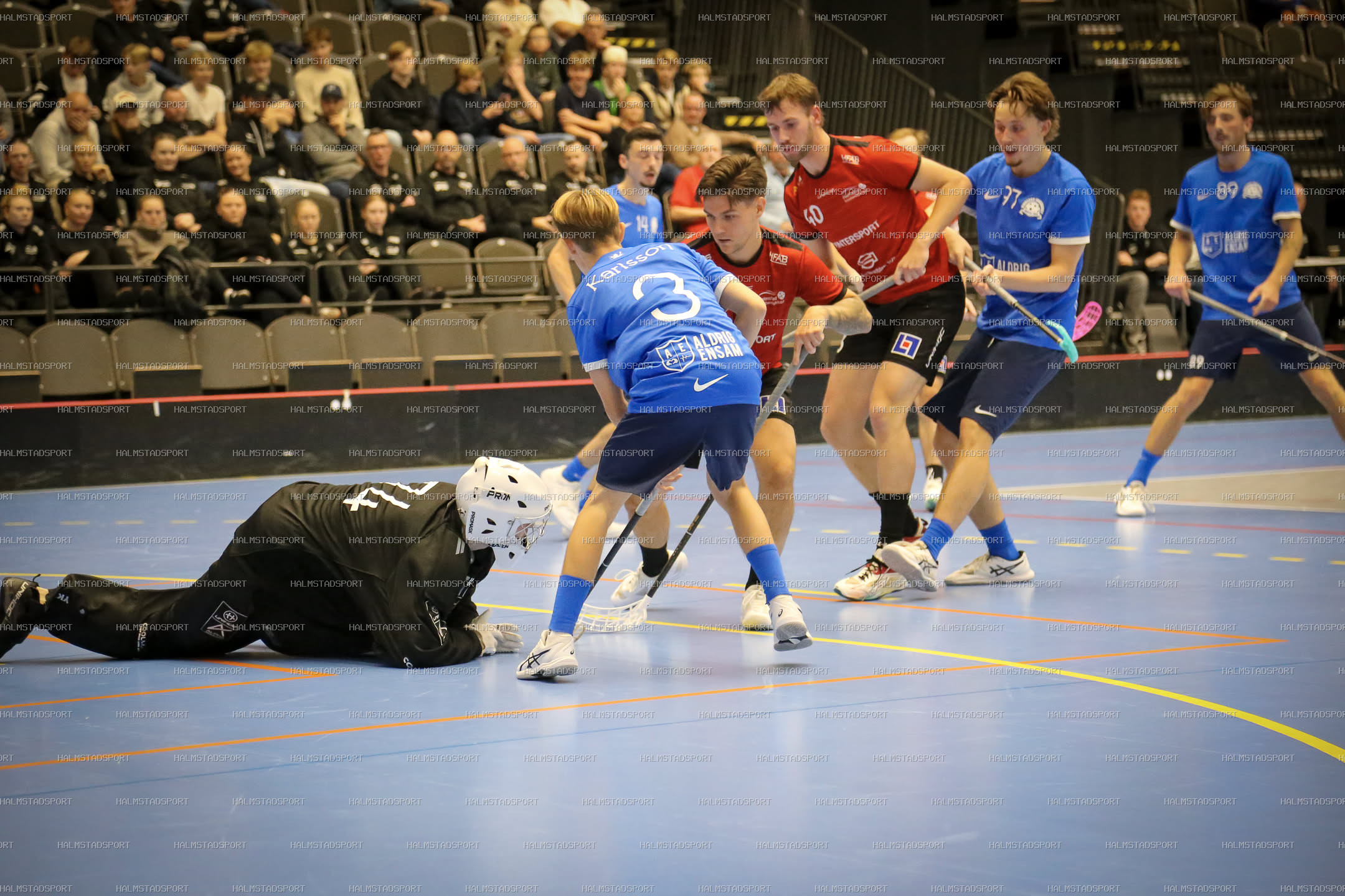 Halmstad Innebandy - Vinberg IBS · Foto: Halmstadsport