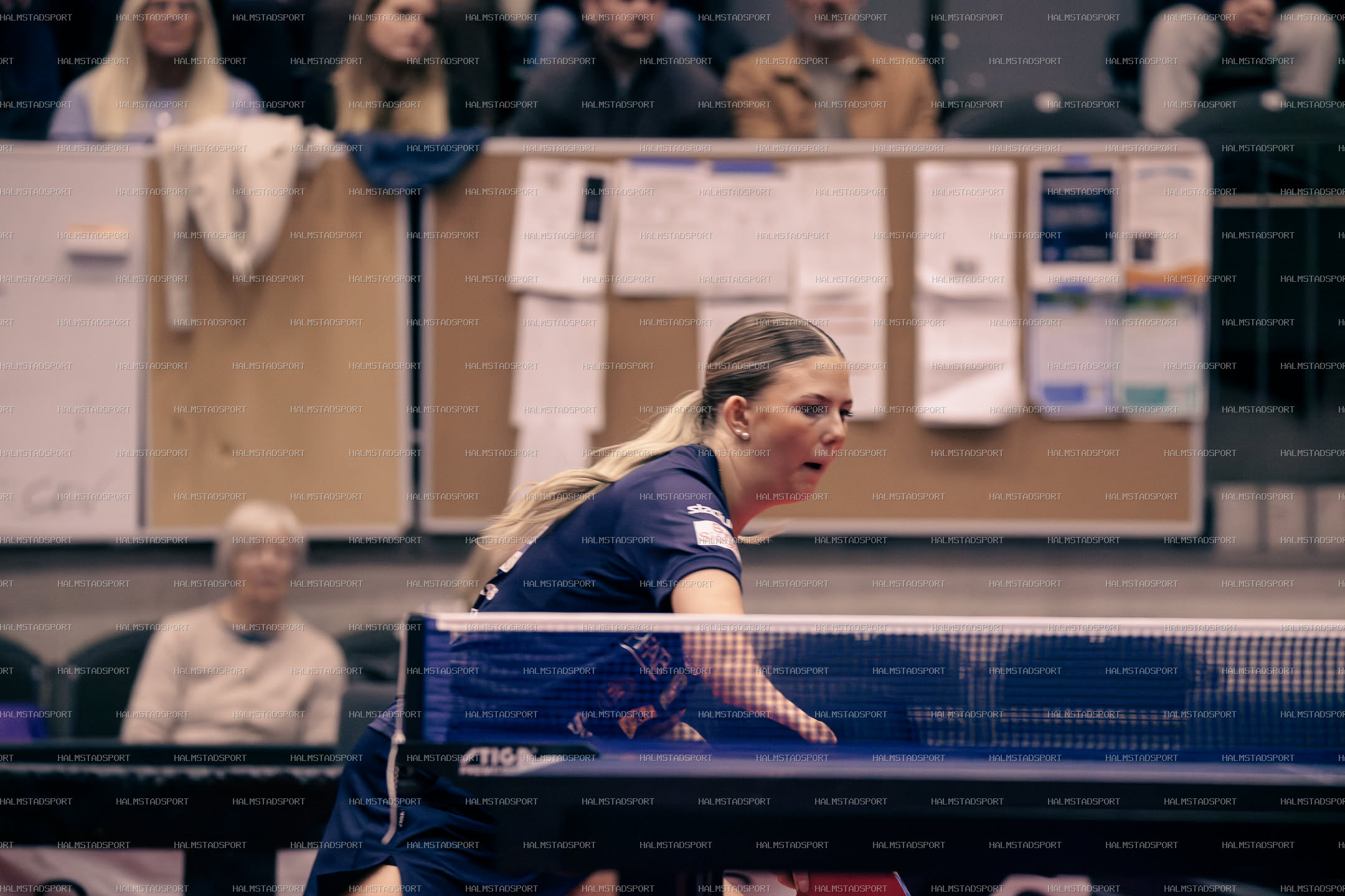 HBTK - Kosta · Foto: Halmstadsport