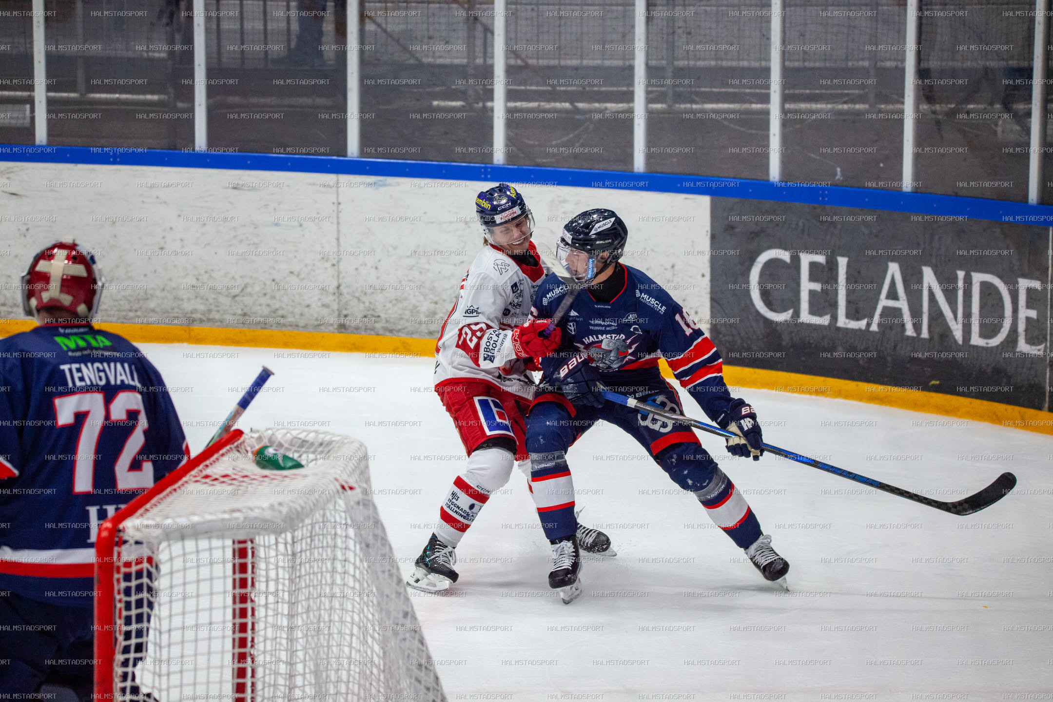 Halmstad Hammers - Västerviks IK · Foto: Halmstadsport