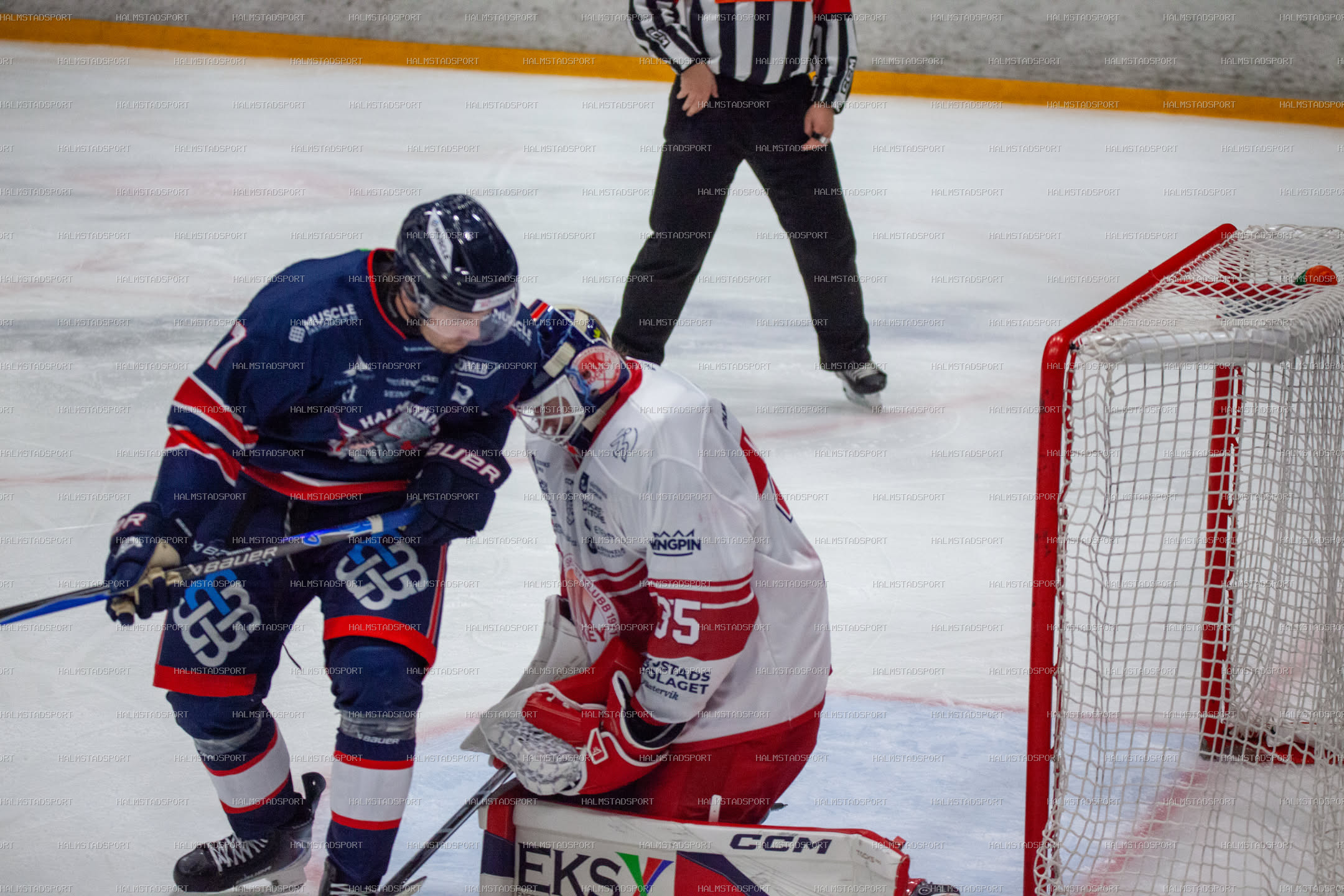 Halmstad Hammers - Västerviks IK · Foto: Halmstadsport