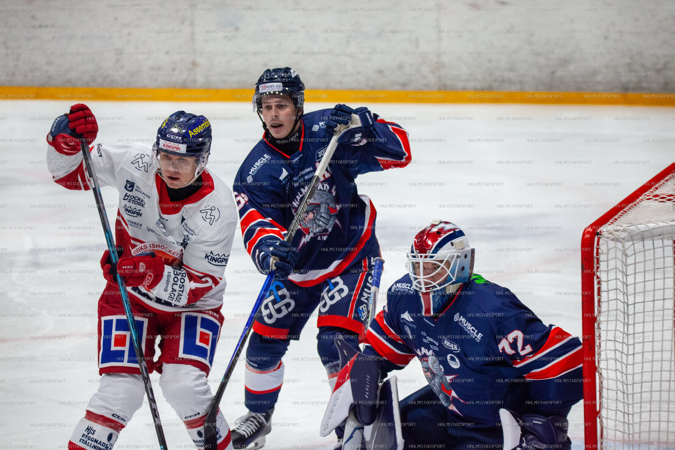 Halmstad Hammers - Västerviks IK · Foto: Halmstadsport