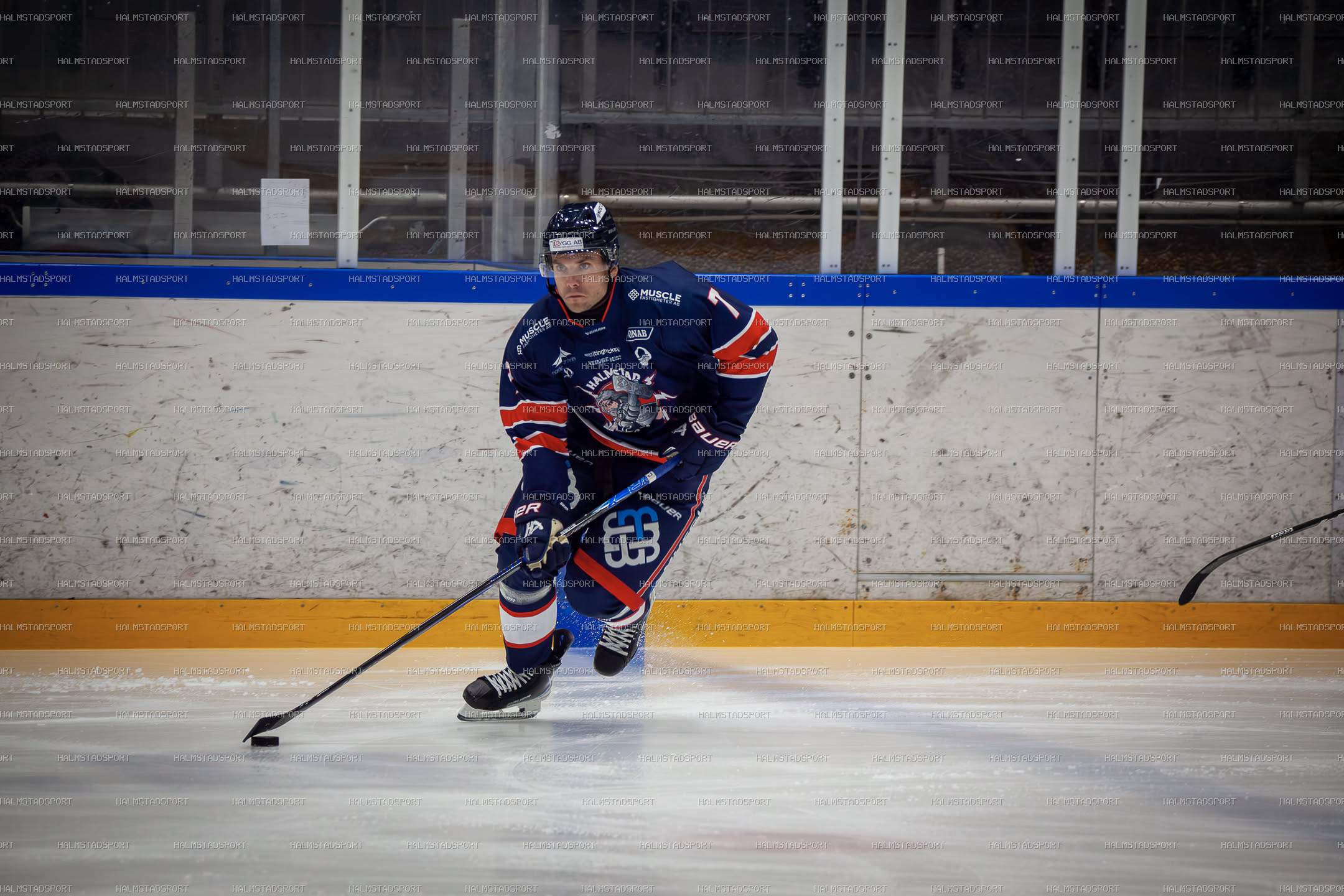 Halmstad Hammers - Mjölby HC · Foto: Halmstadsport