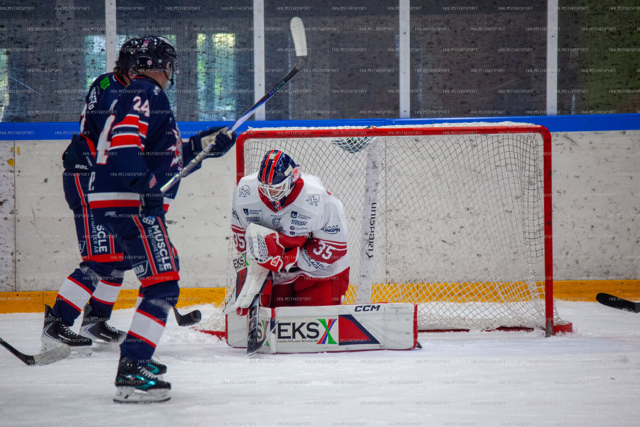 Halmstad Hammers - Västerviks IK · Foto: Halmstadsport