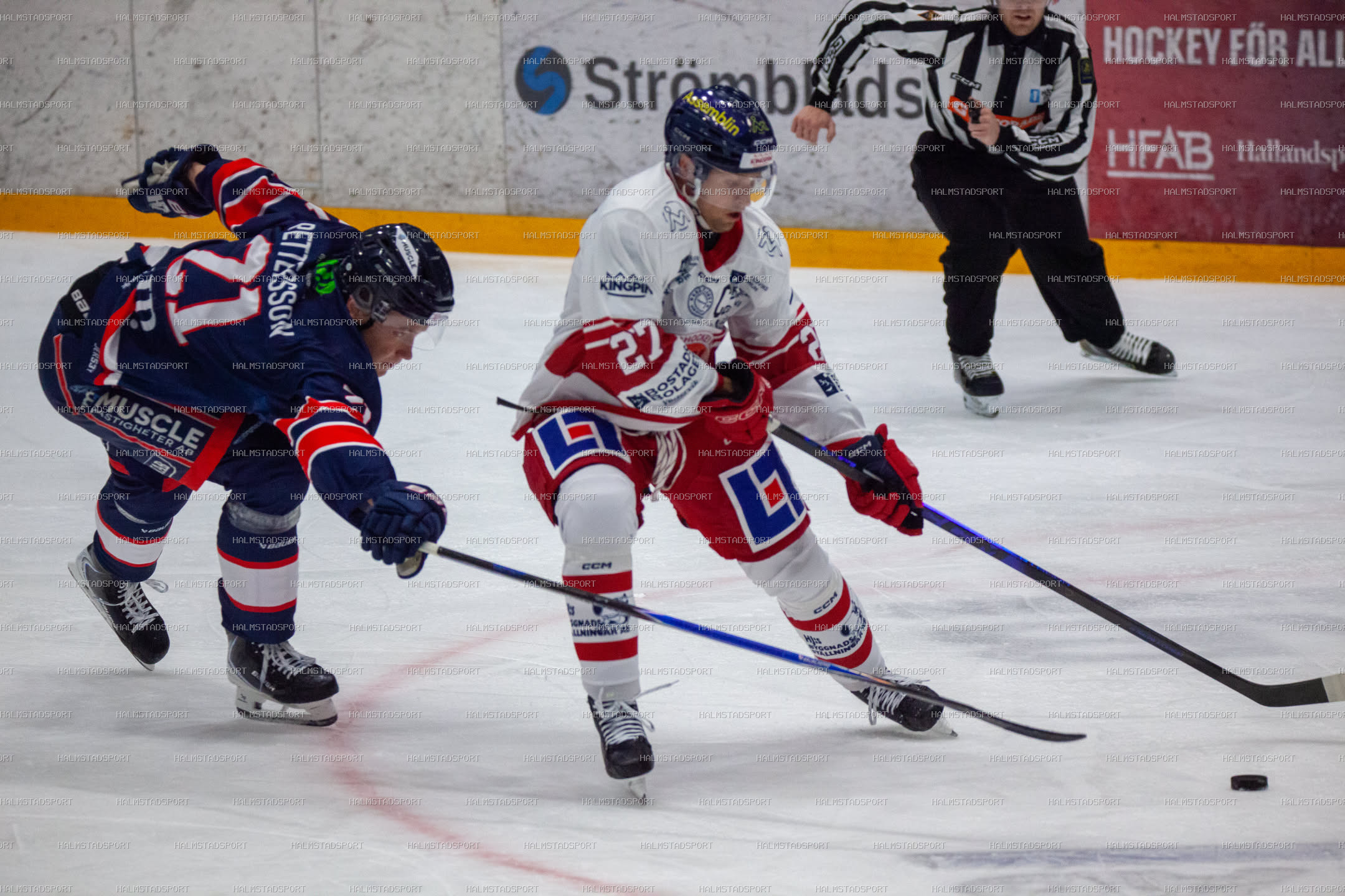 Halmstad Hammers - Västerviks IK · Foto: Halmstadsport