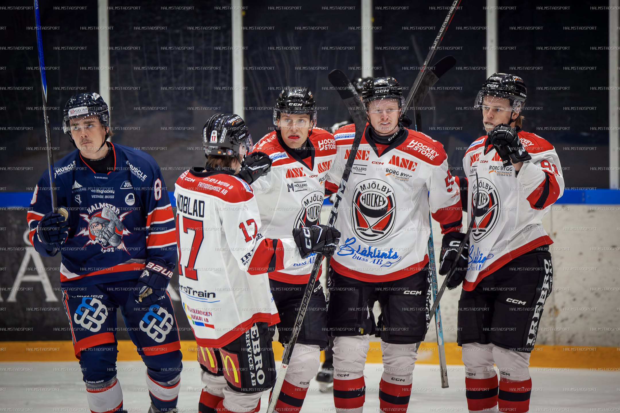 Halmstad Hammers - Mjölby HC · Foto: Halmstadsport
