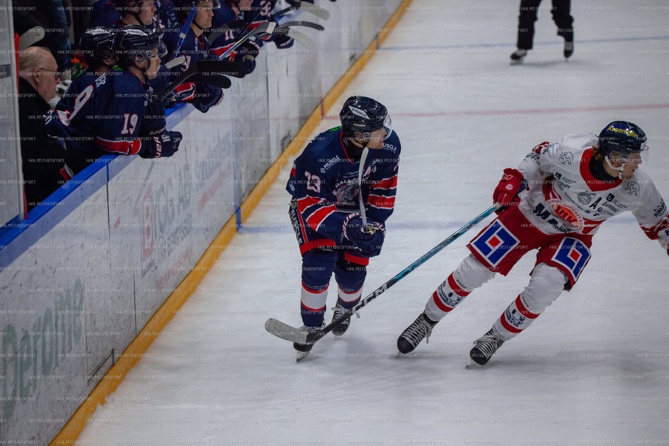Halmstad Hammers - Västerviks IK · Foto: Halmstadsport