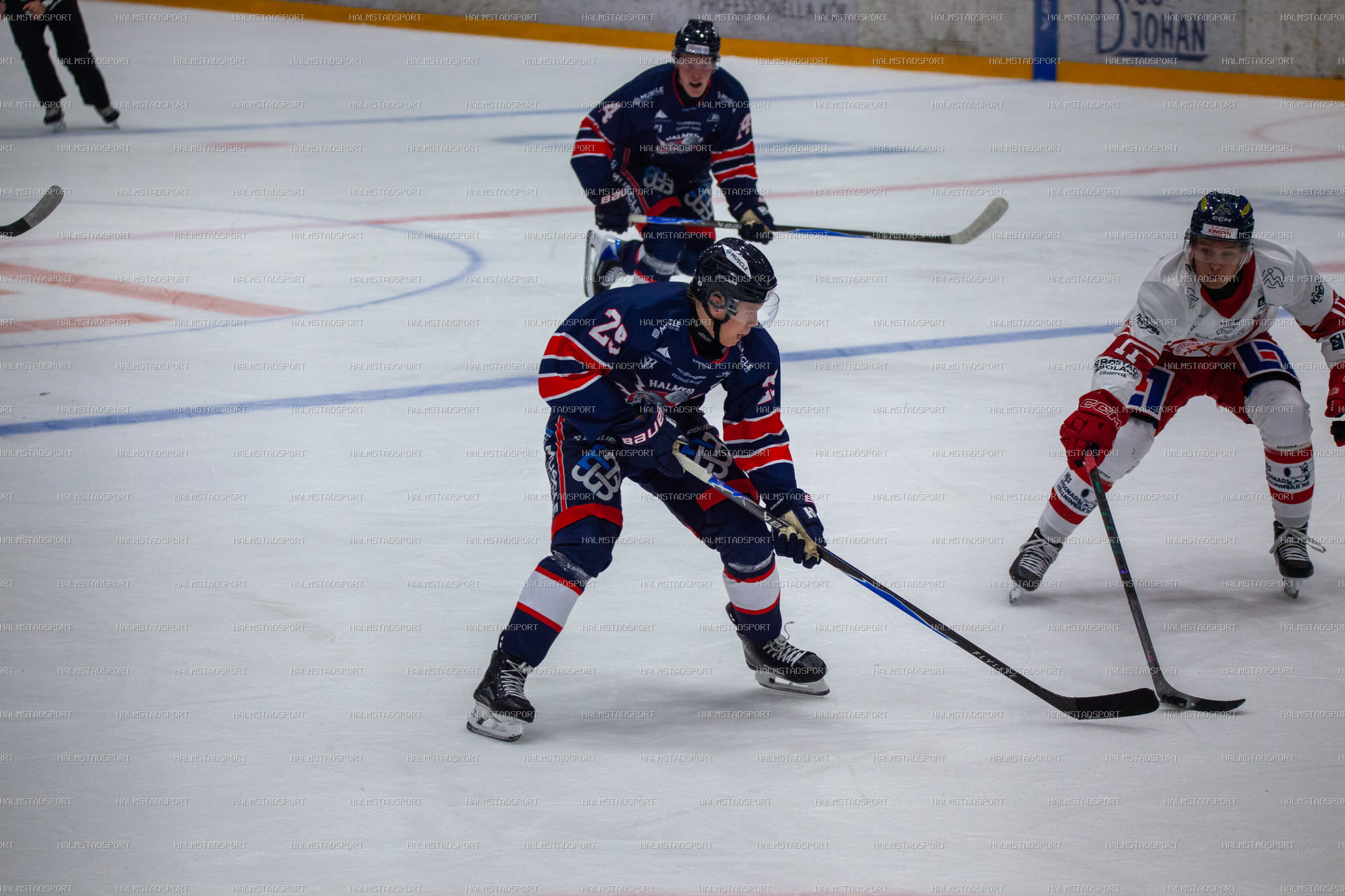 Halmstad Hammers - Västerviks IK · Foto: Halmstadsport