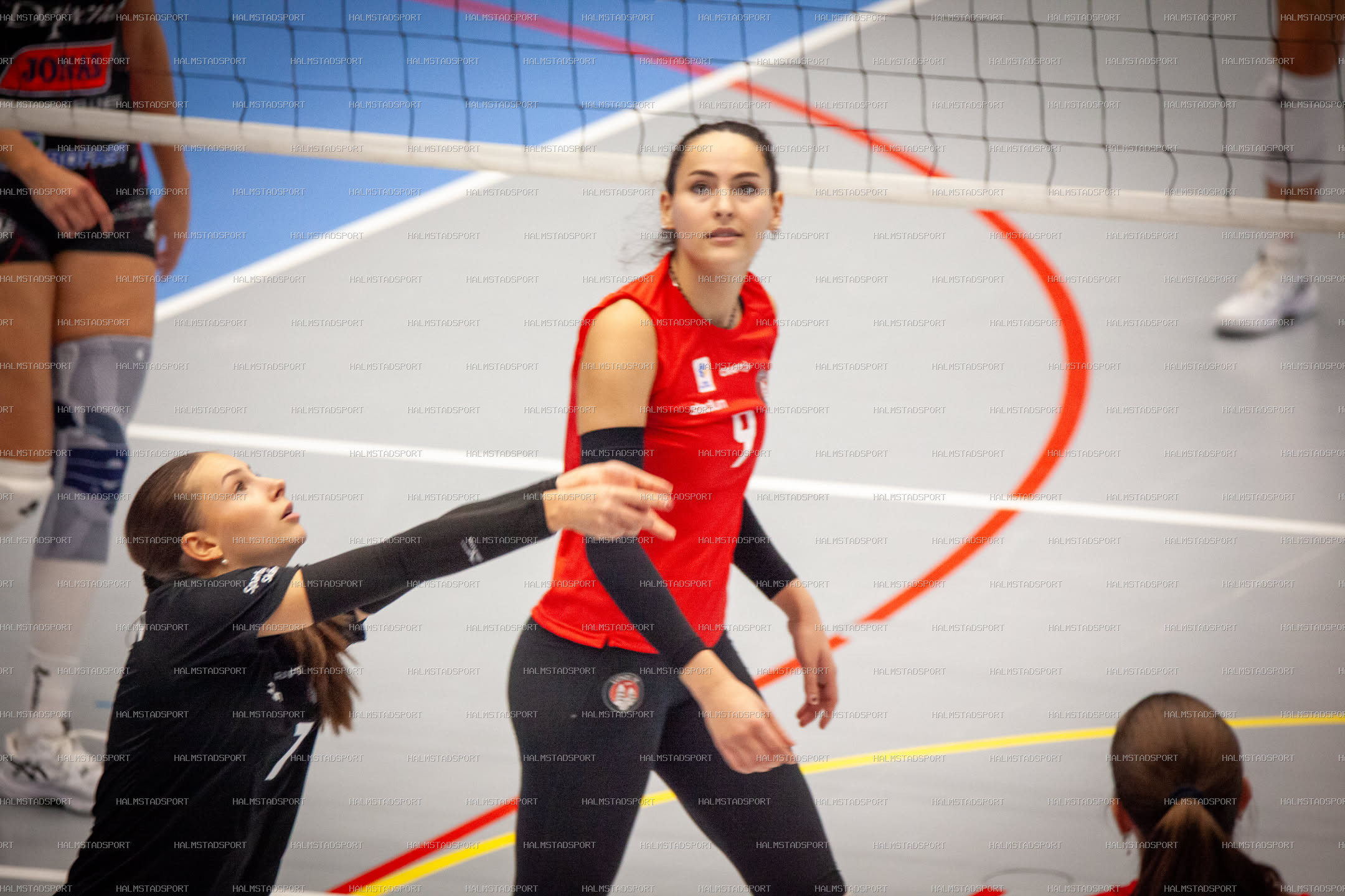 Hylte / Halmstad - Lunds VS Dam · Foto: Halmstadsport