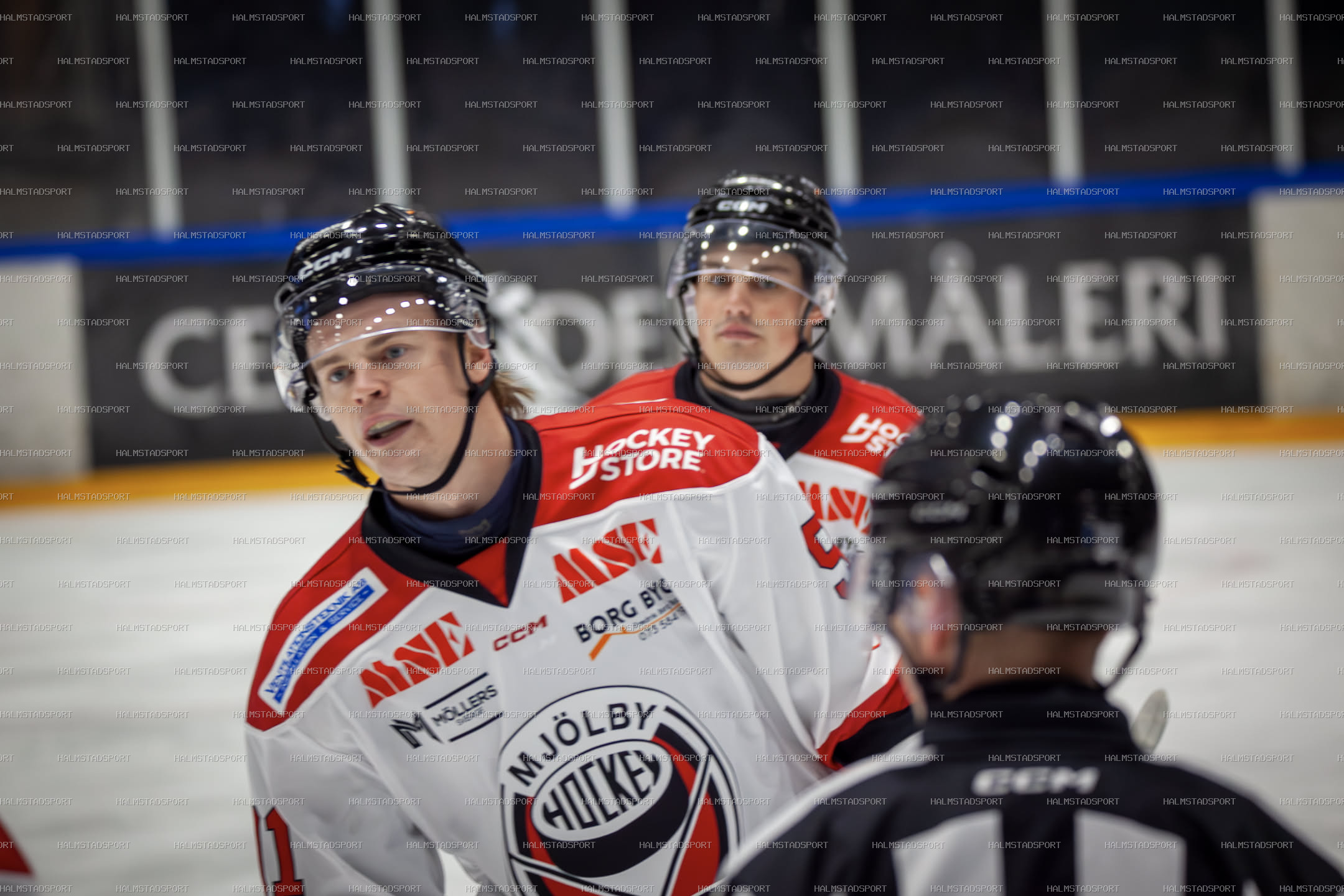 Halmstad Hammers - Mjölby HC · Foto: Halmstadsport