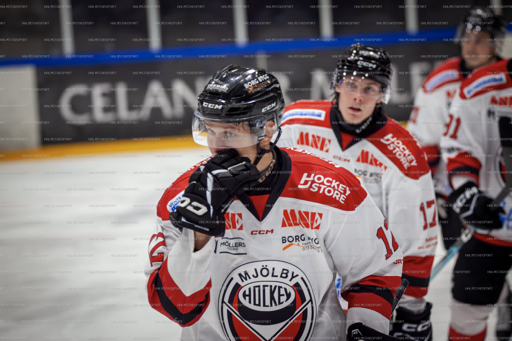 Halmstad Hammers - Mjölby HC · Foto: Halmstadsport