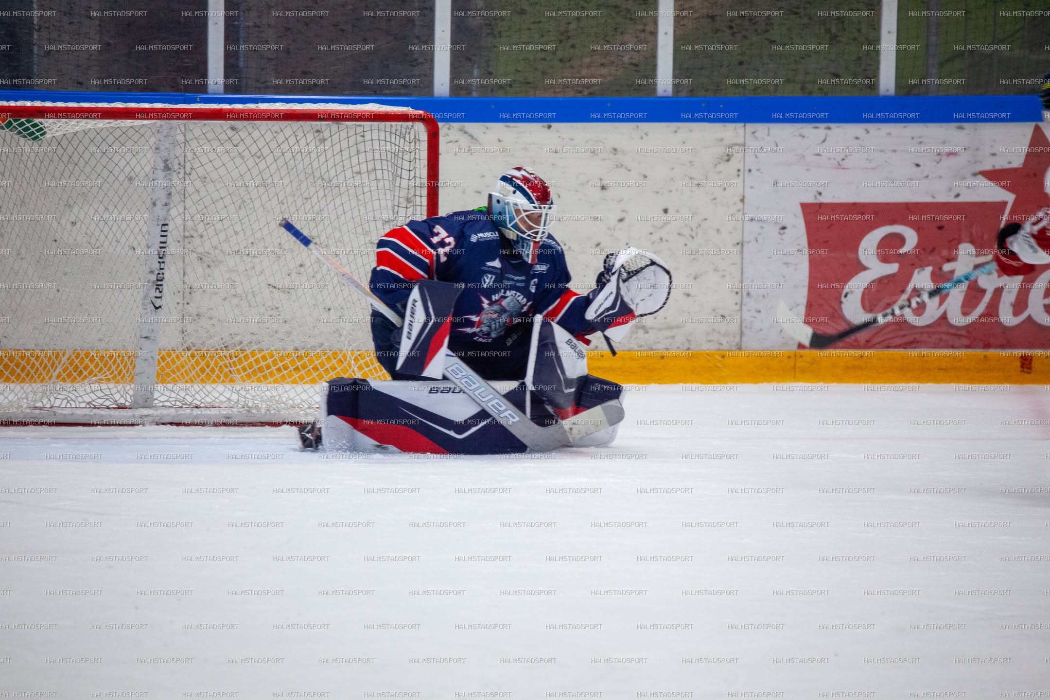 Halmstad Hammers - Västerviks IK · Foto: Halmstadsport