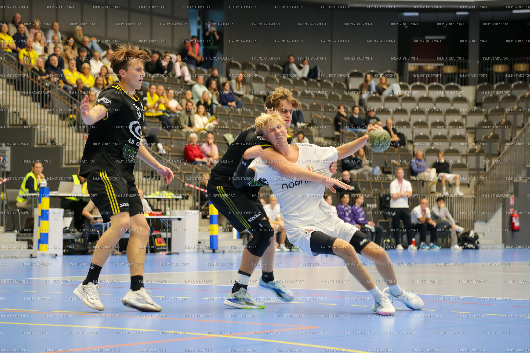 HK Drott - IK Sävehof · Foto: Halmstadsport