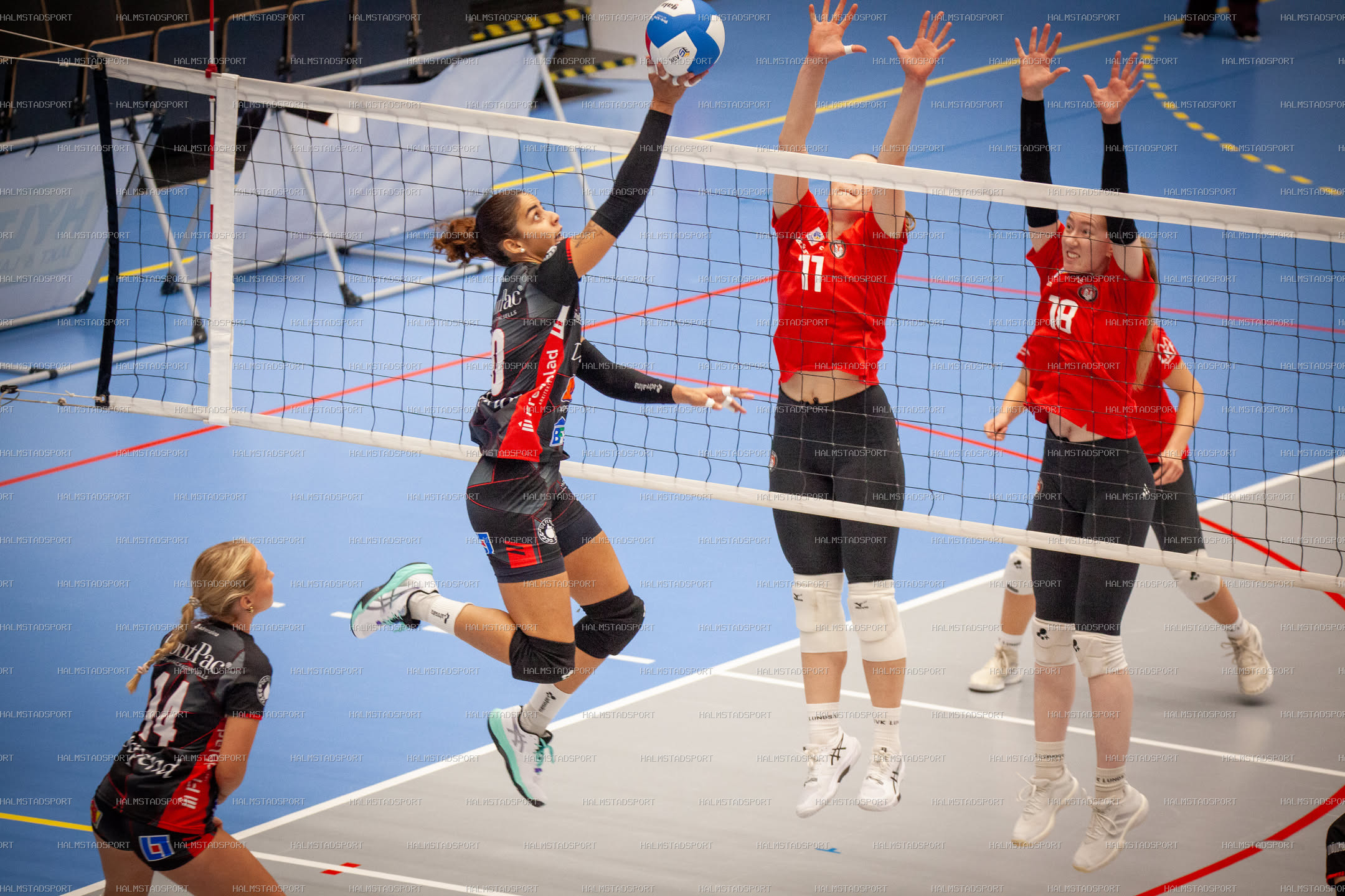 Hylte / Halmstad - Lunds VS Dam · Foto: Halmstadsport