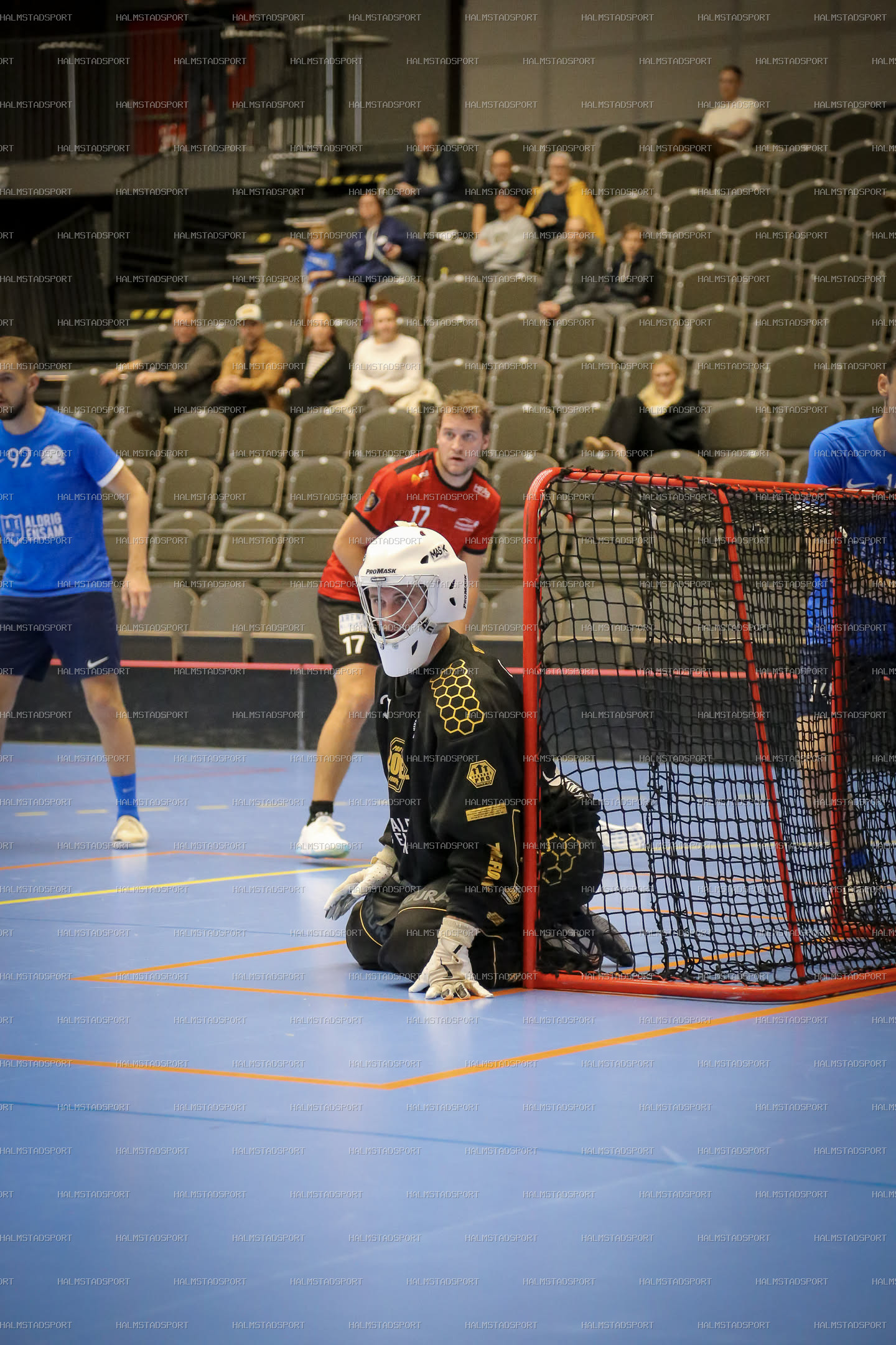 Halmstad Innebandy - Vinberg IBS · Foto: Halmstadsport