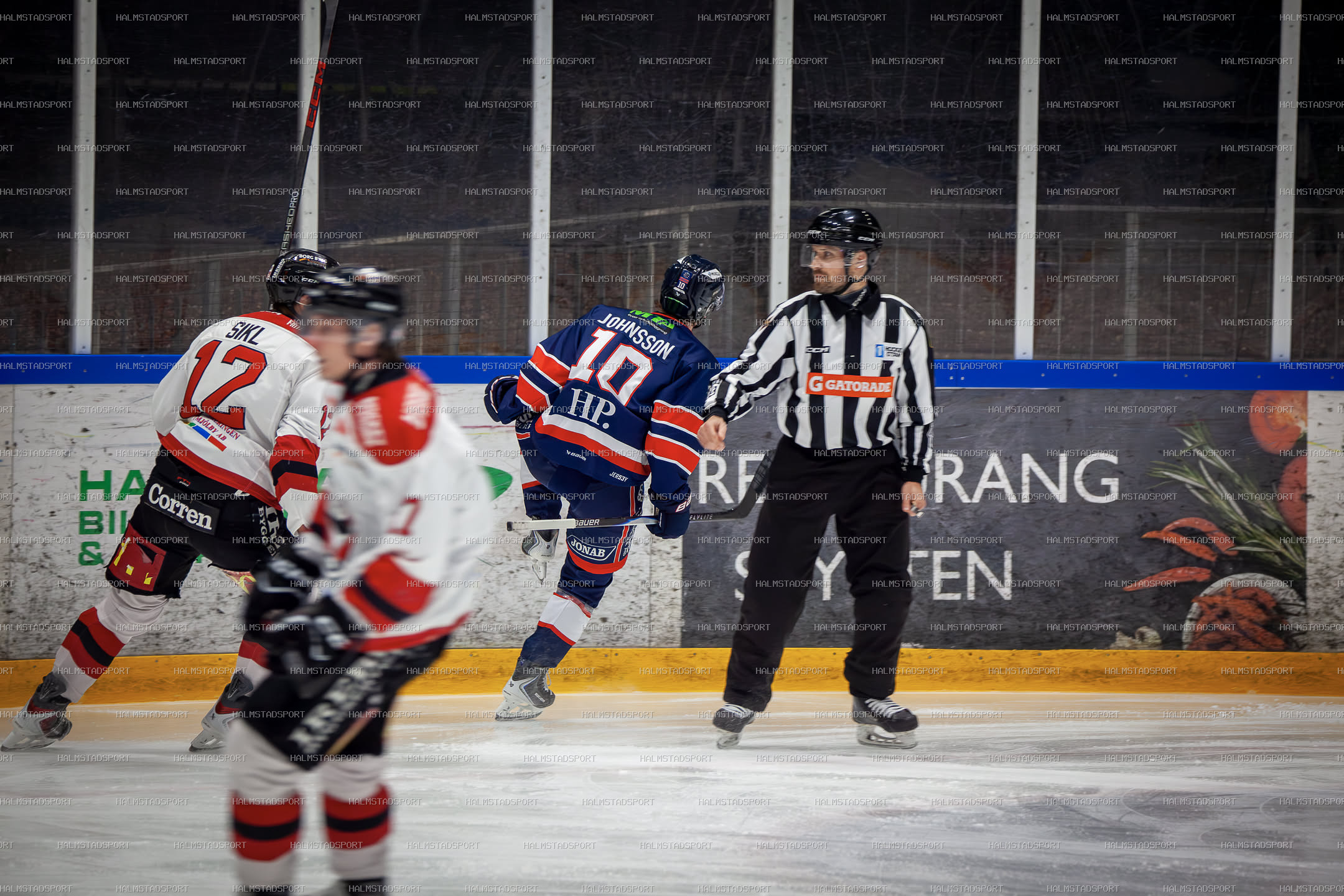 Halmstad Hammers - Mjölby HC · Foto: Halmstadsport