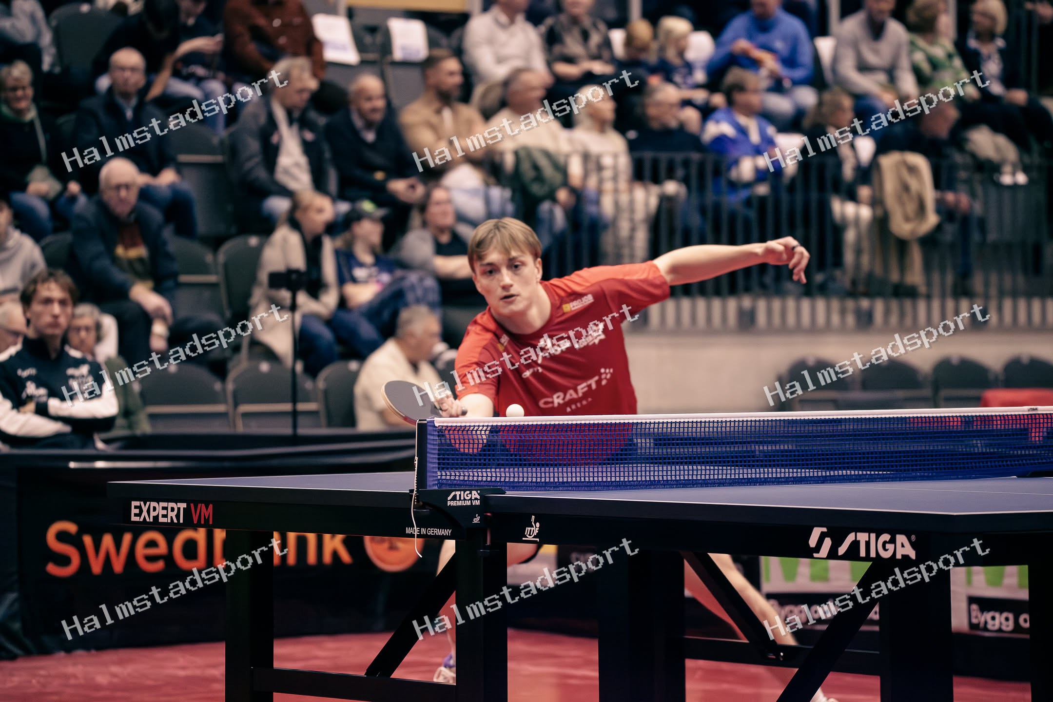 HBTK - Kosta · Foto: Halmstadsport