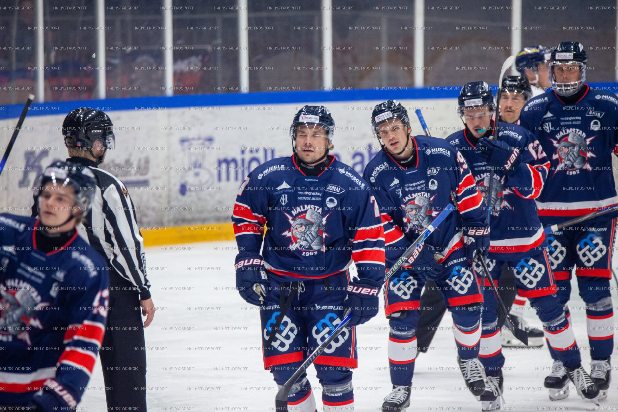 Halmstad Hammers - Västerviks IK · Foto: Halmstadsport