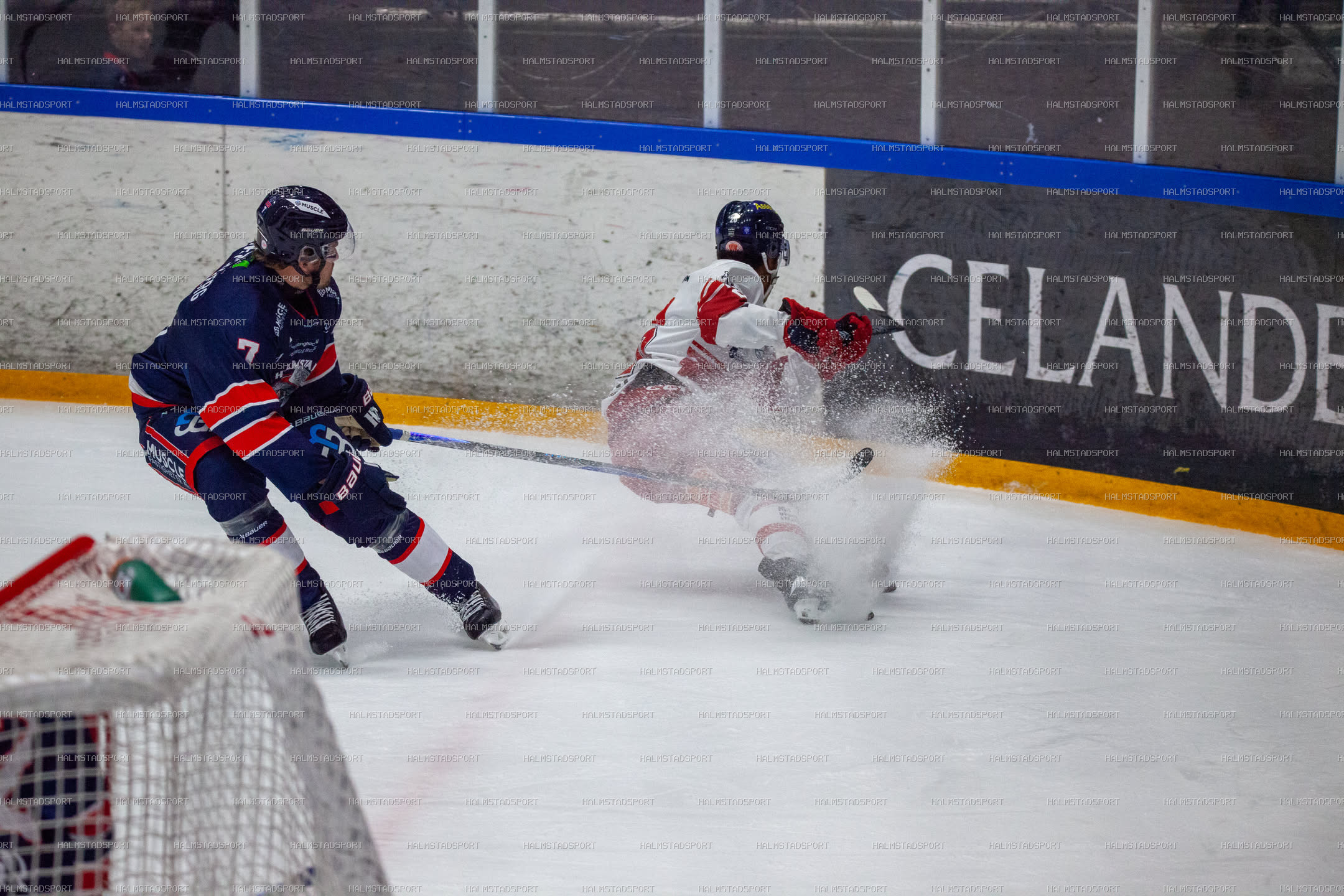 Halmstad Hammers - Västerviks IK · Foto: Halmstadsport