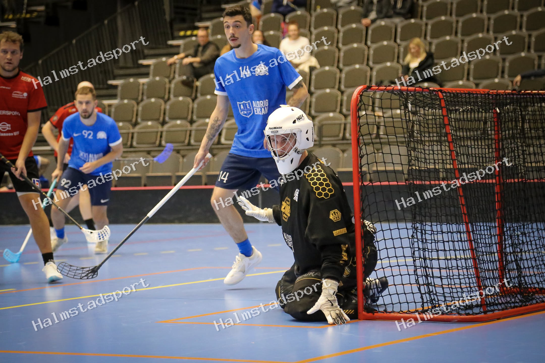 Halmstad Innebandy - Vinberg IBS · Foto: Halmstadsport