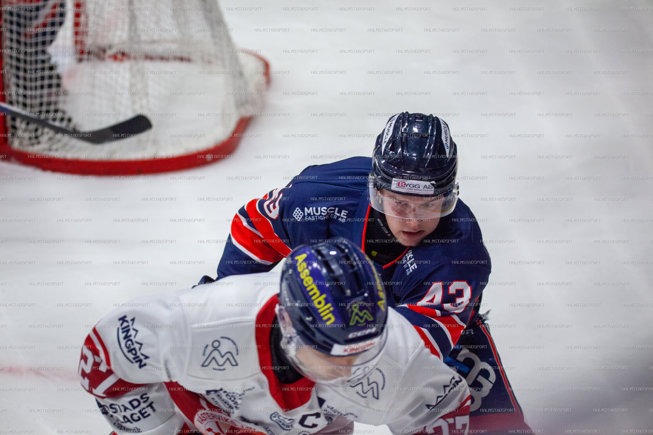 Halmstad Hammers - Västerviks IK · Foto: Halmstadsport