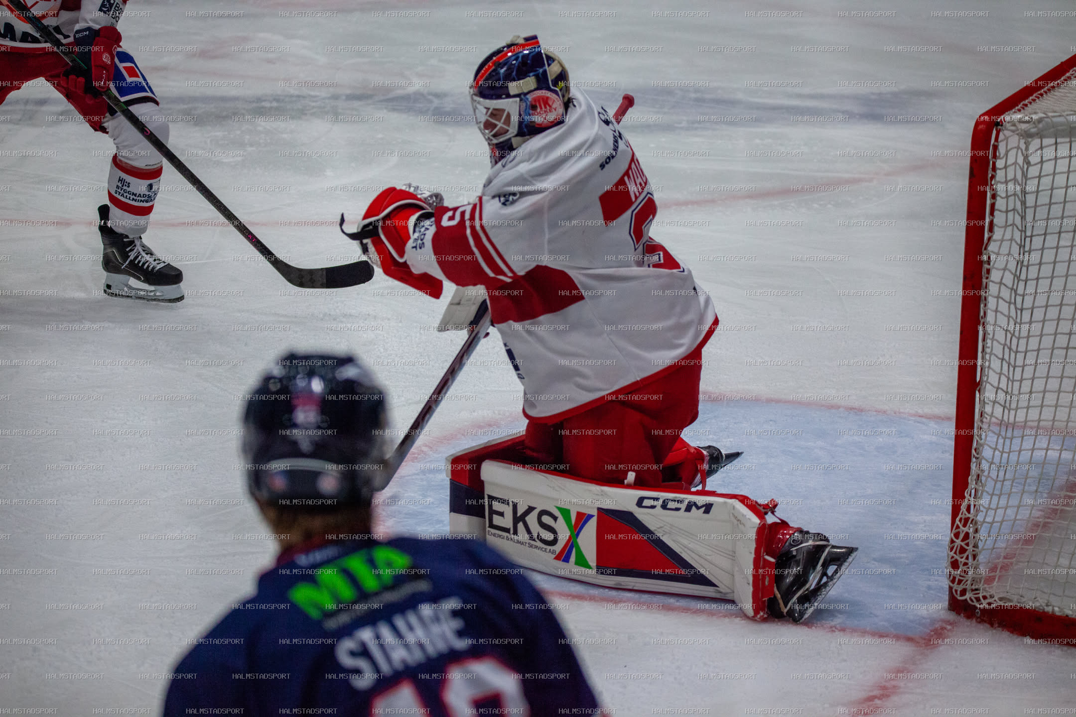 Halmstad Hammers - Västerviks IK · Foto: Halmstadsport