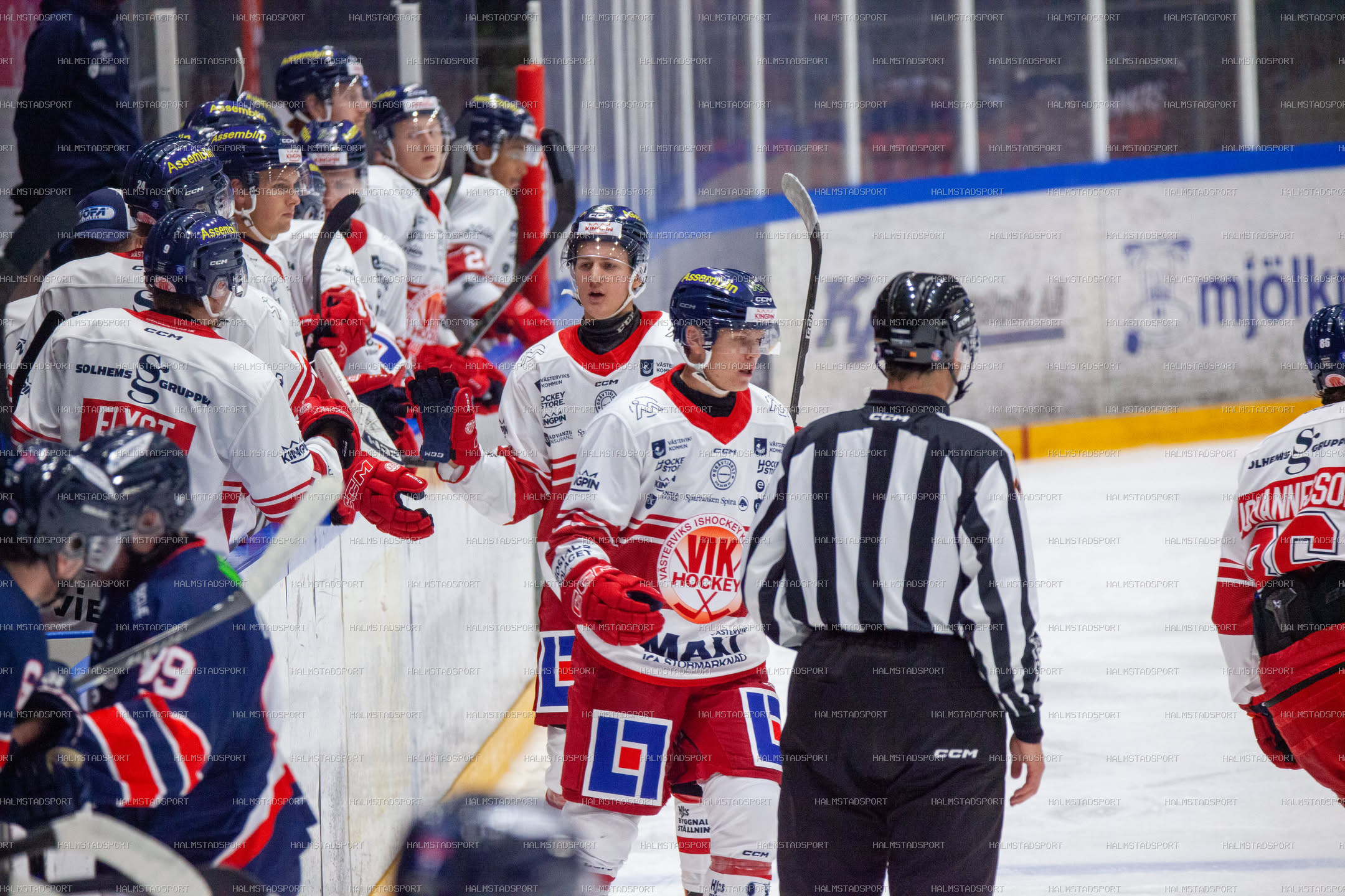 Halmstad Hammers - Västerviks IK · Foto: Halmstadsport