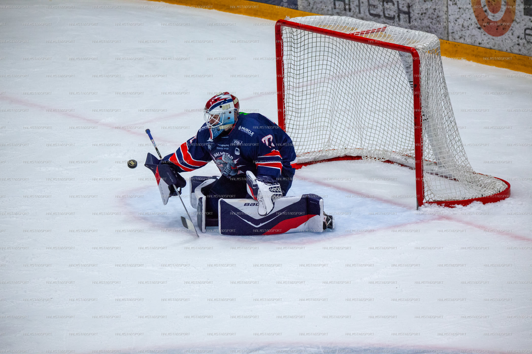 Halmstad Hammers - Västerviks IK · Foto: Halmstadsport