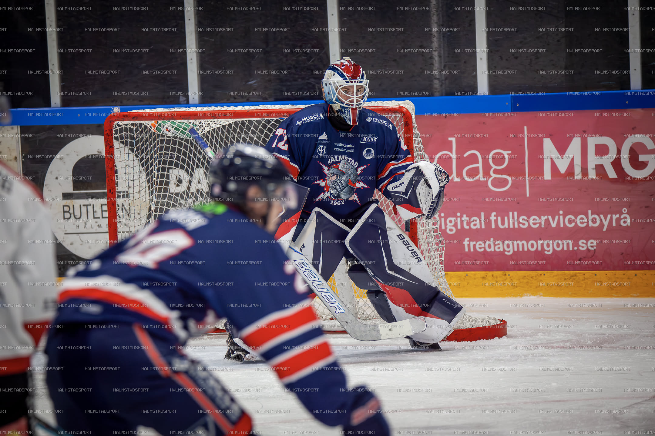 Halmstad Hammers - Mjölby HC · Foto: Halmstadsport
