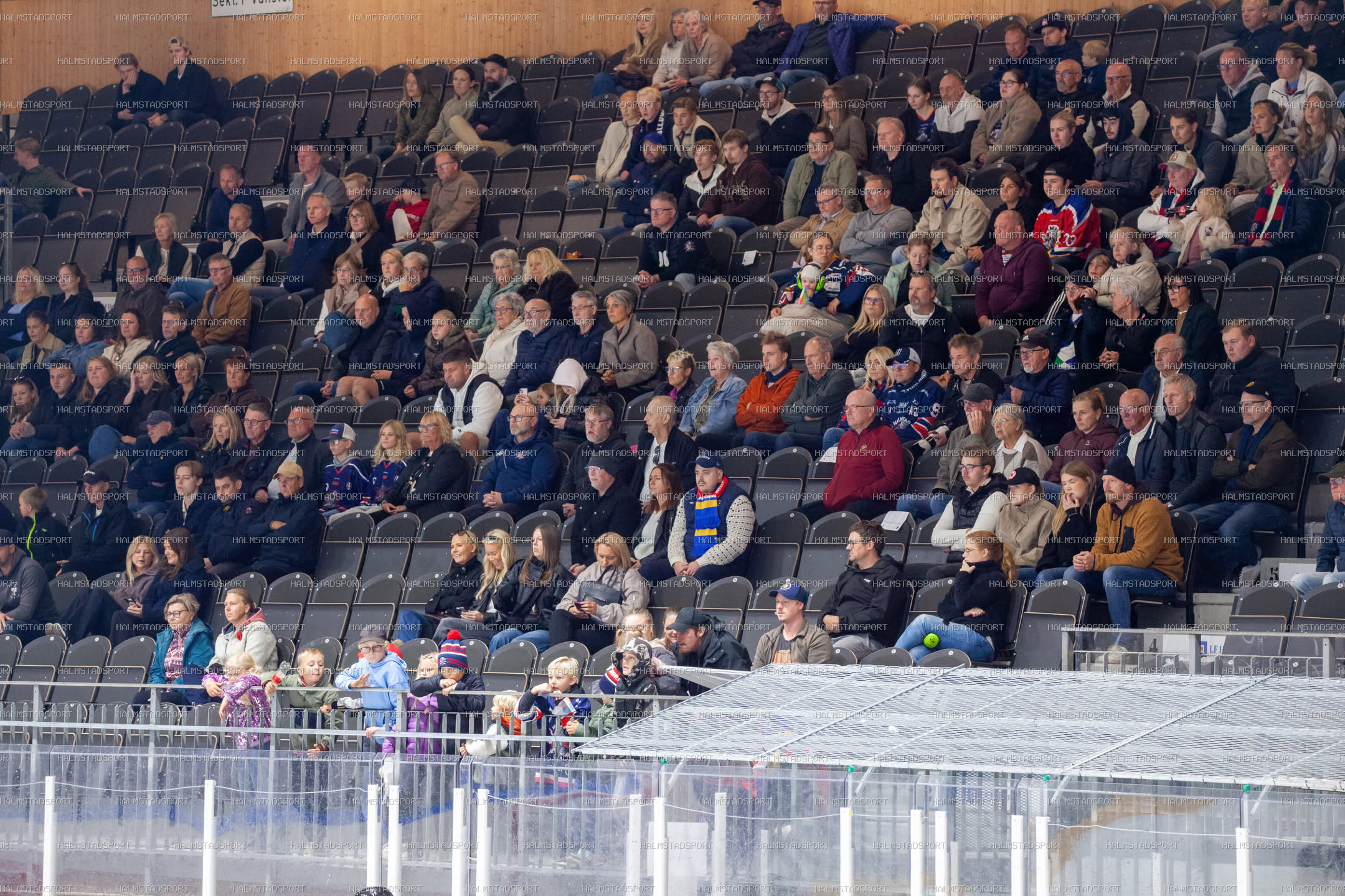 Halmstad Hammers - Västerviks IK · Foto: Halmstadsport