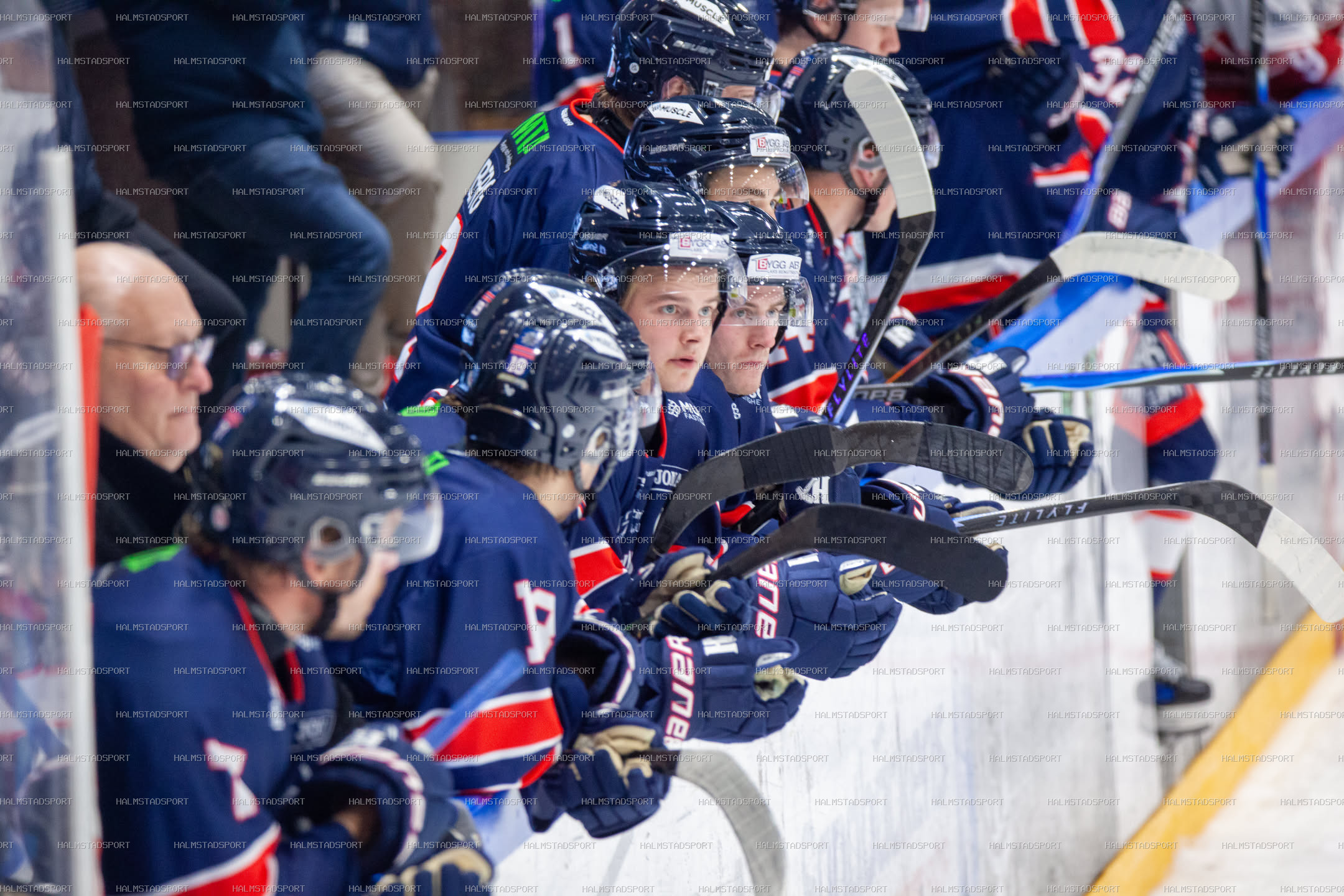 Halmstad Hammers - Västerviks IK · Foto: Halmstadsport