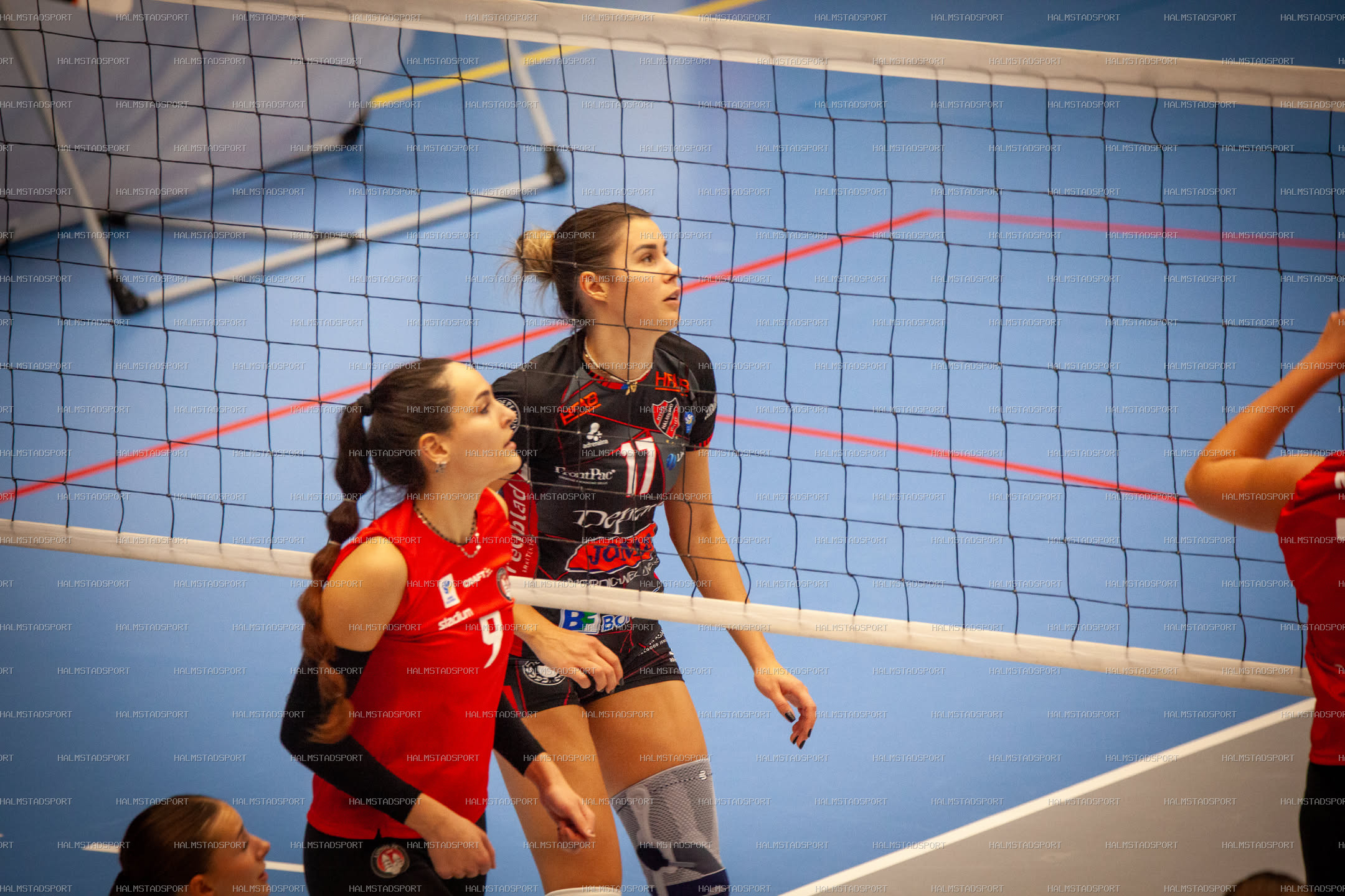 Hylte / Halmstad - Lunds VS Dam · Foto: Halmstadsport
