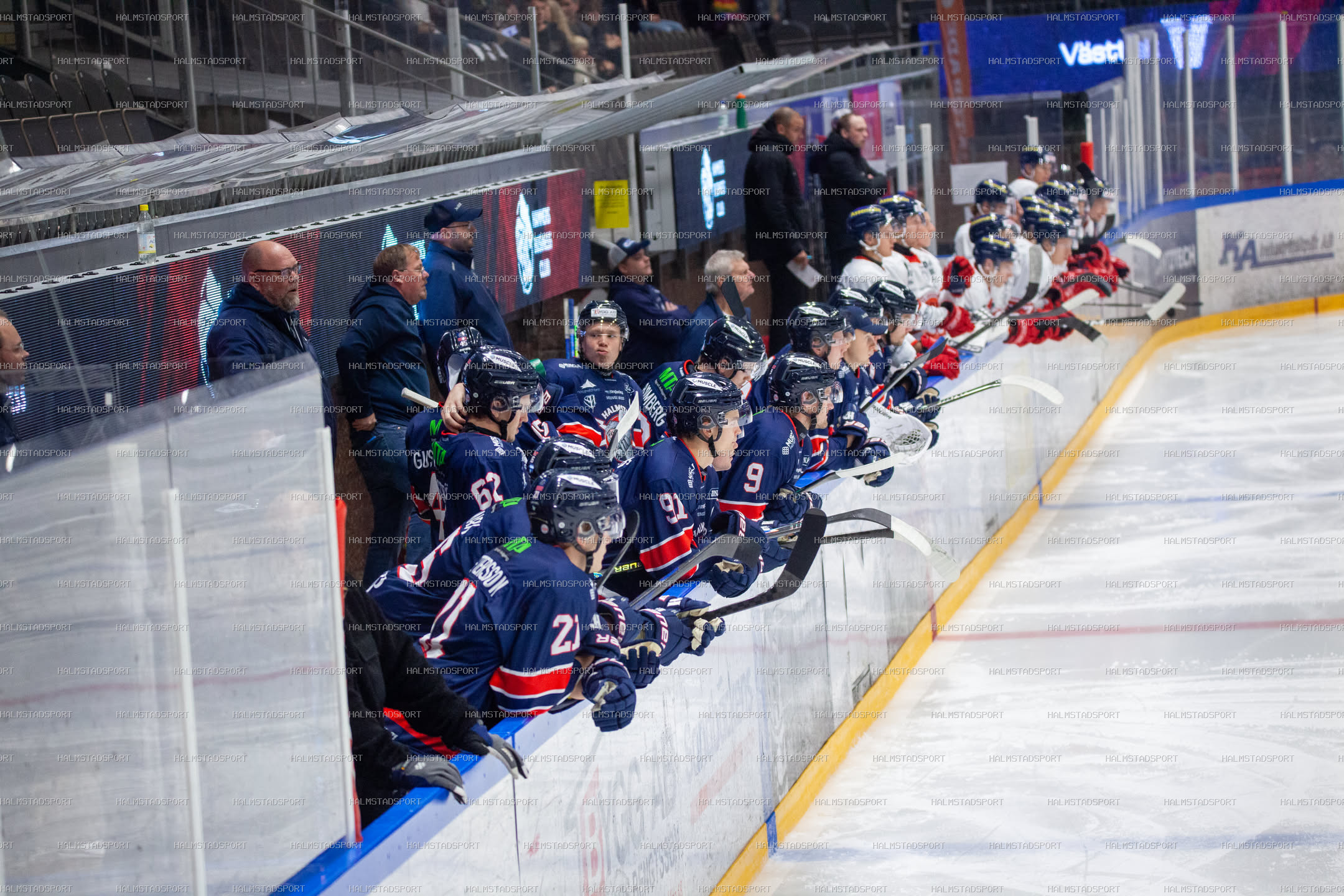 Halmstad Hammers - Västerviks IK · Foto: Halmstadsport